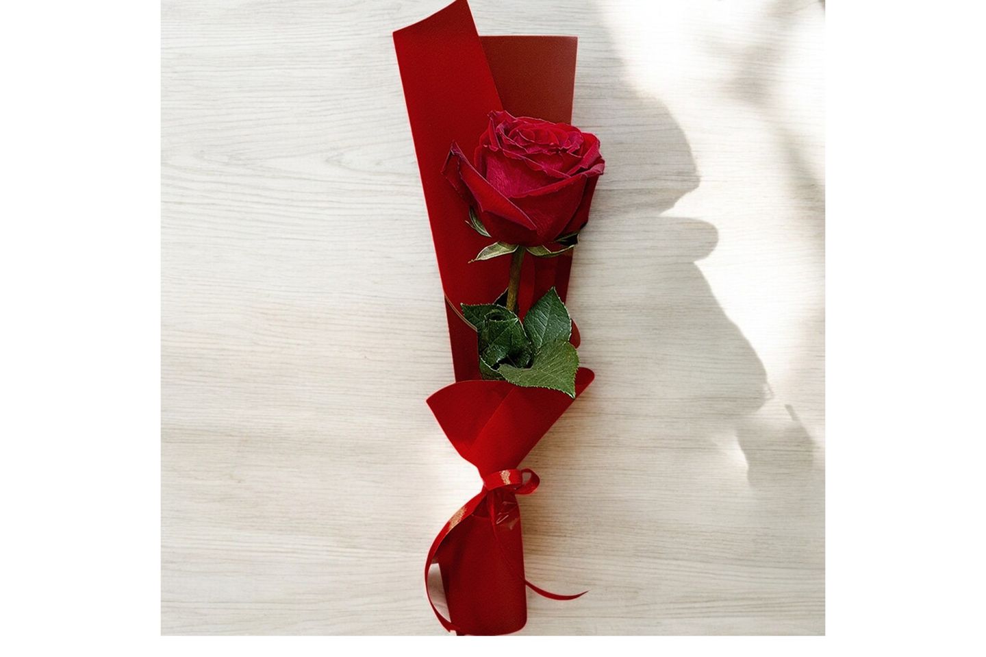 Soft Wrapped Rose
