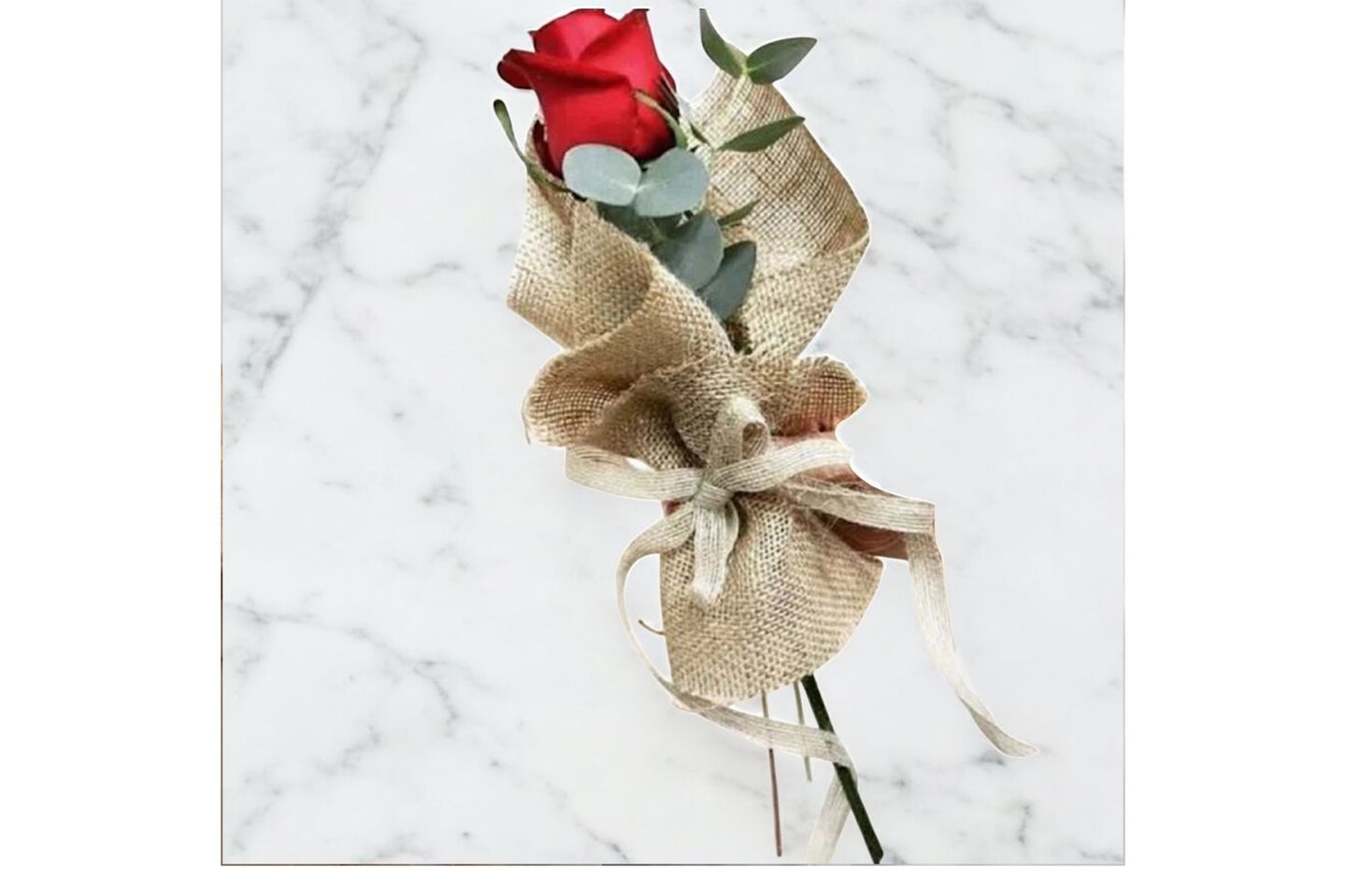 Rural Rose
