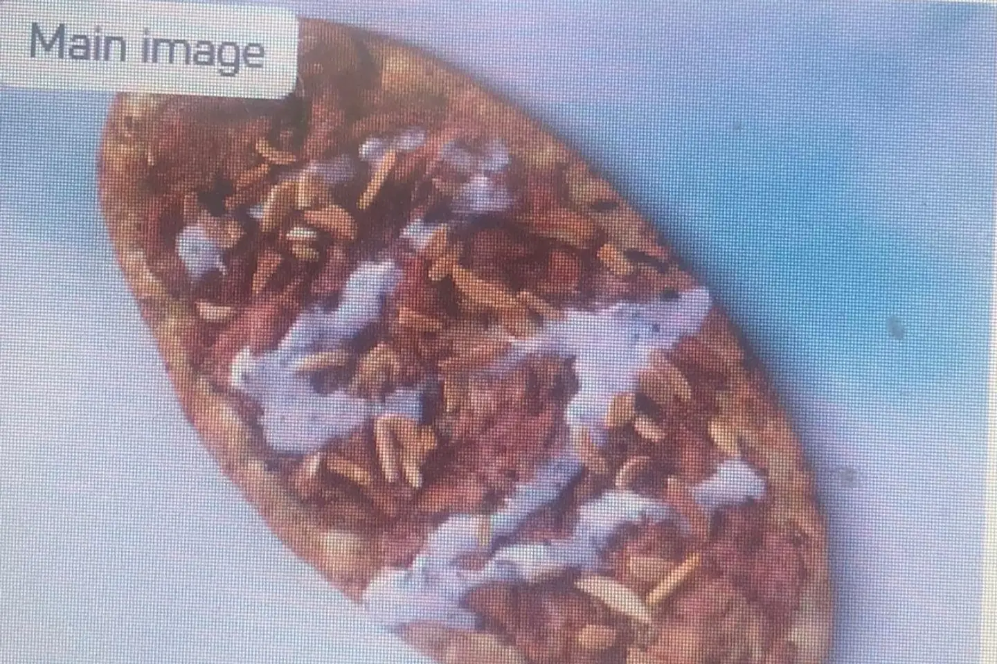 مسخن