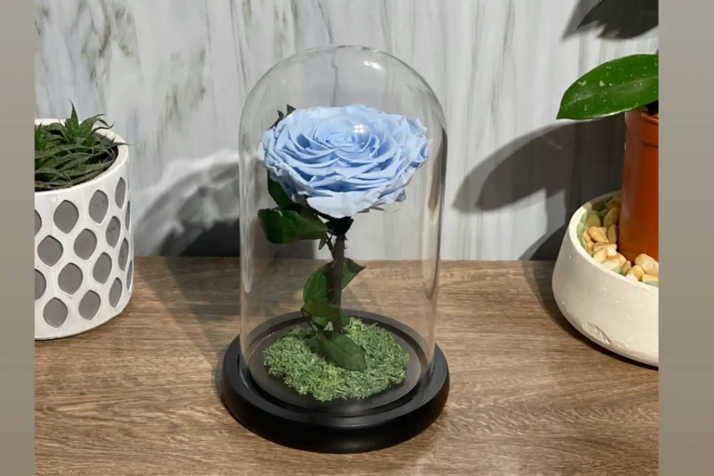 فازة ورده دائمه سماوي