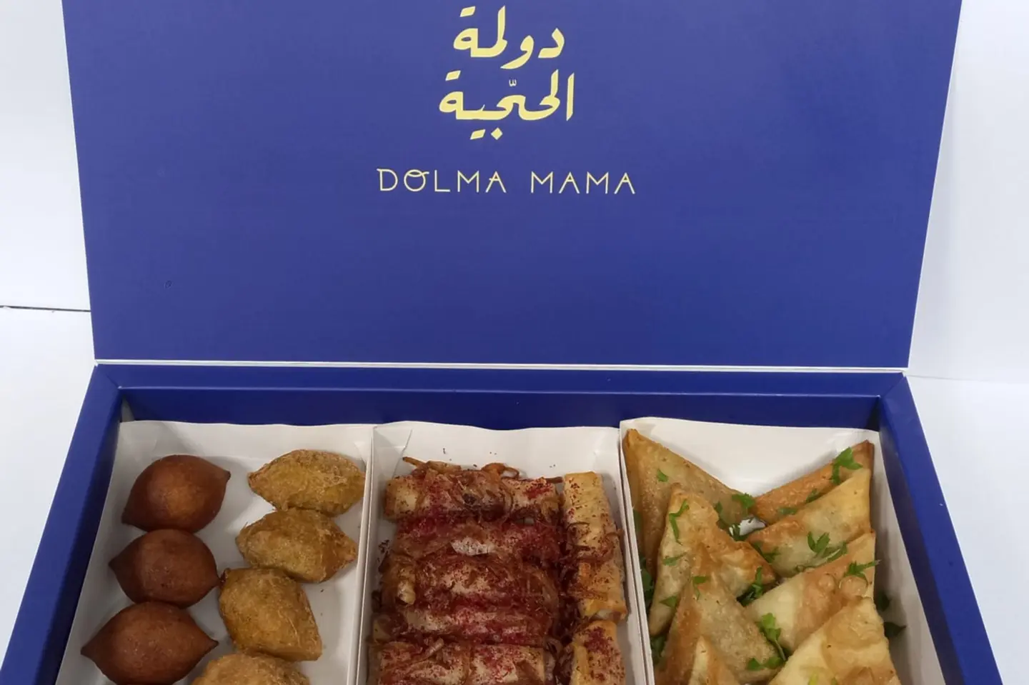 مقالى دولمة الحجية