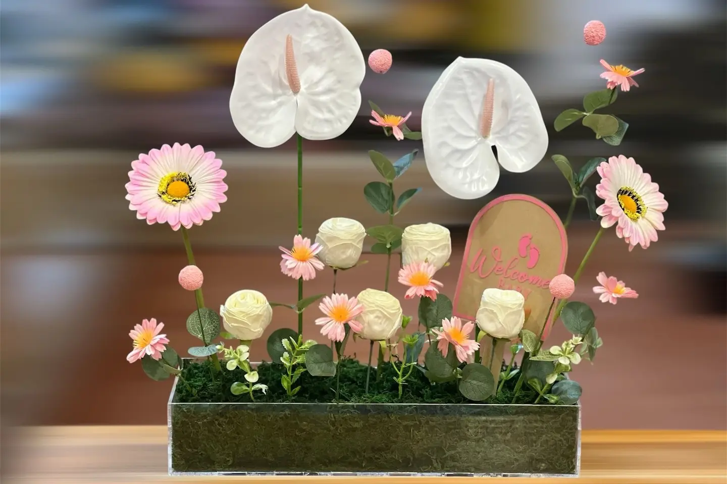 ستاند مولوده