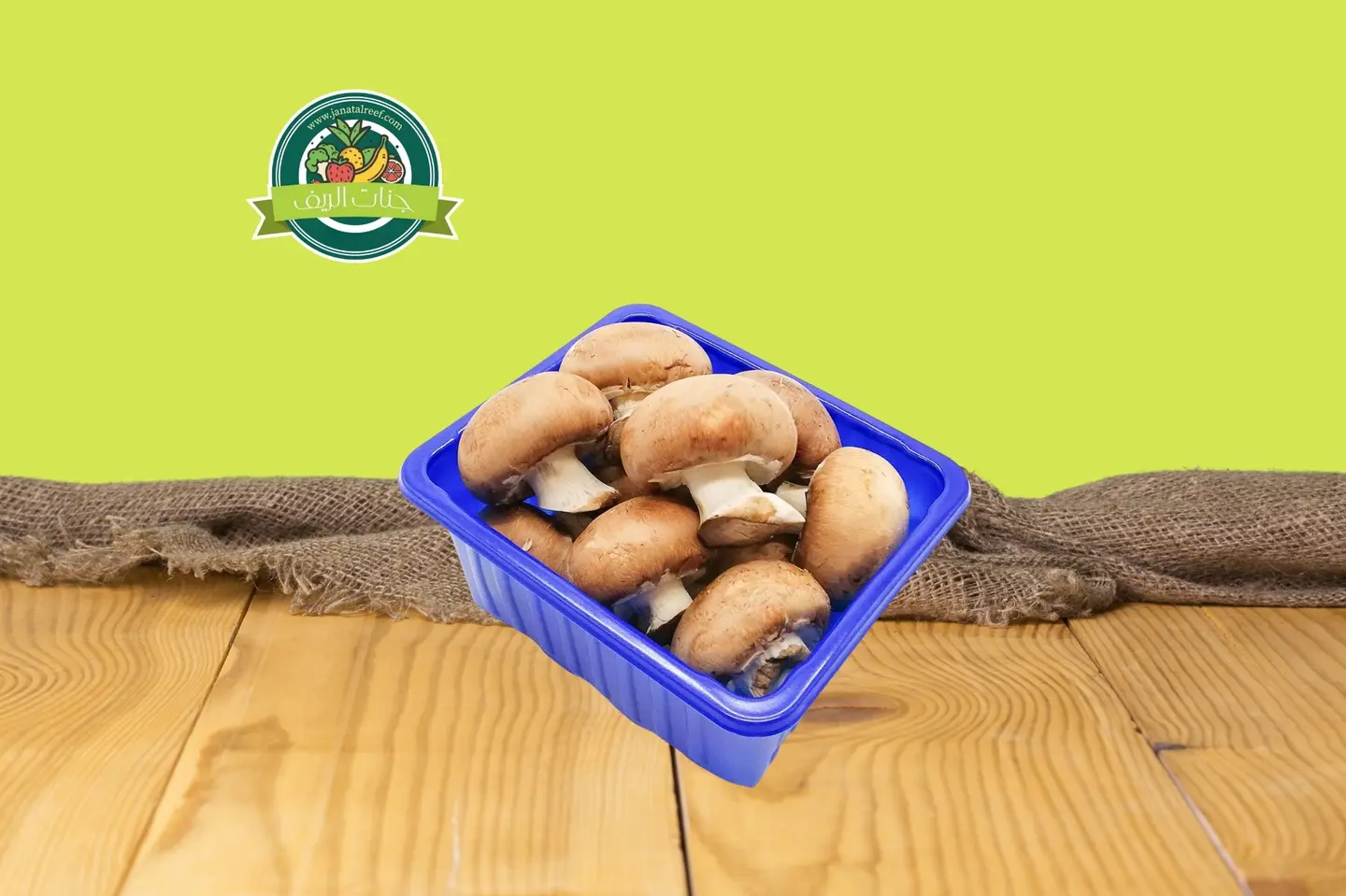 فطر بني عماني علبة