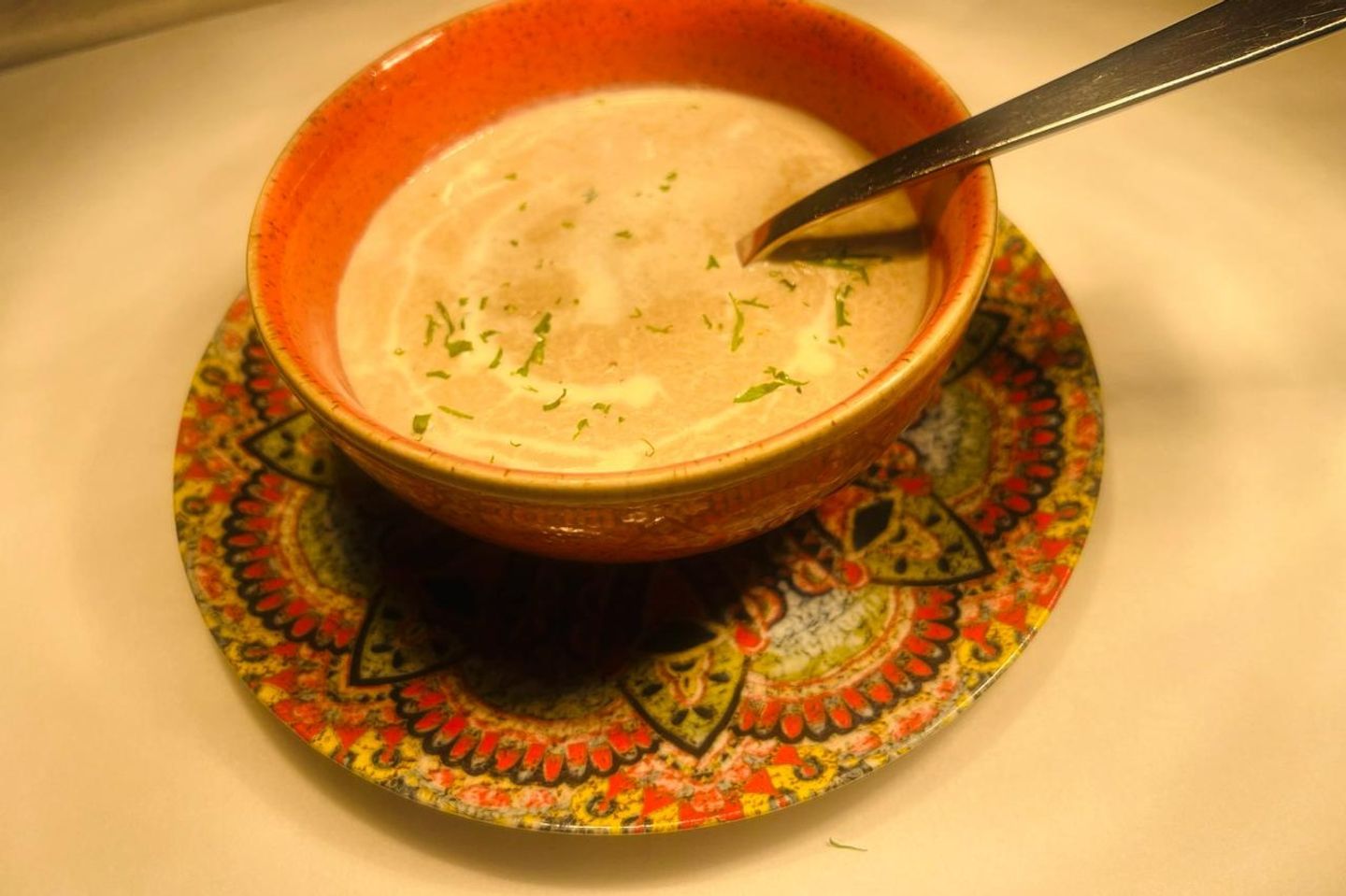 Chicken Mushroom Soup