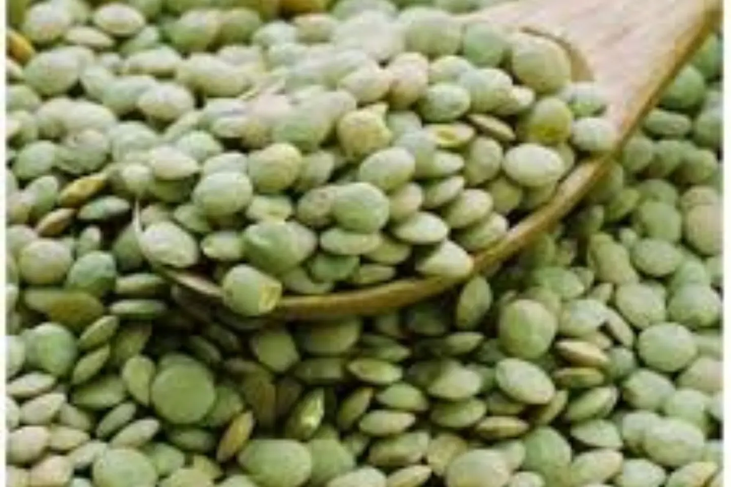 البقوليات  كيس عدس اخضر اربعمائة جم