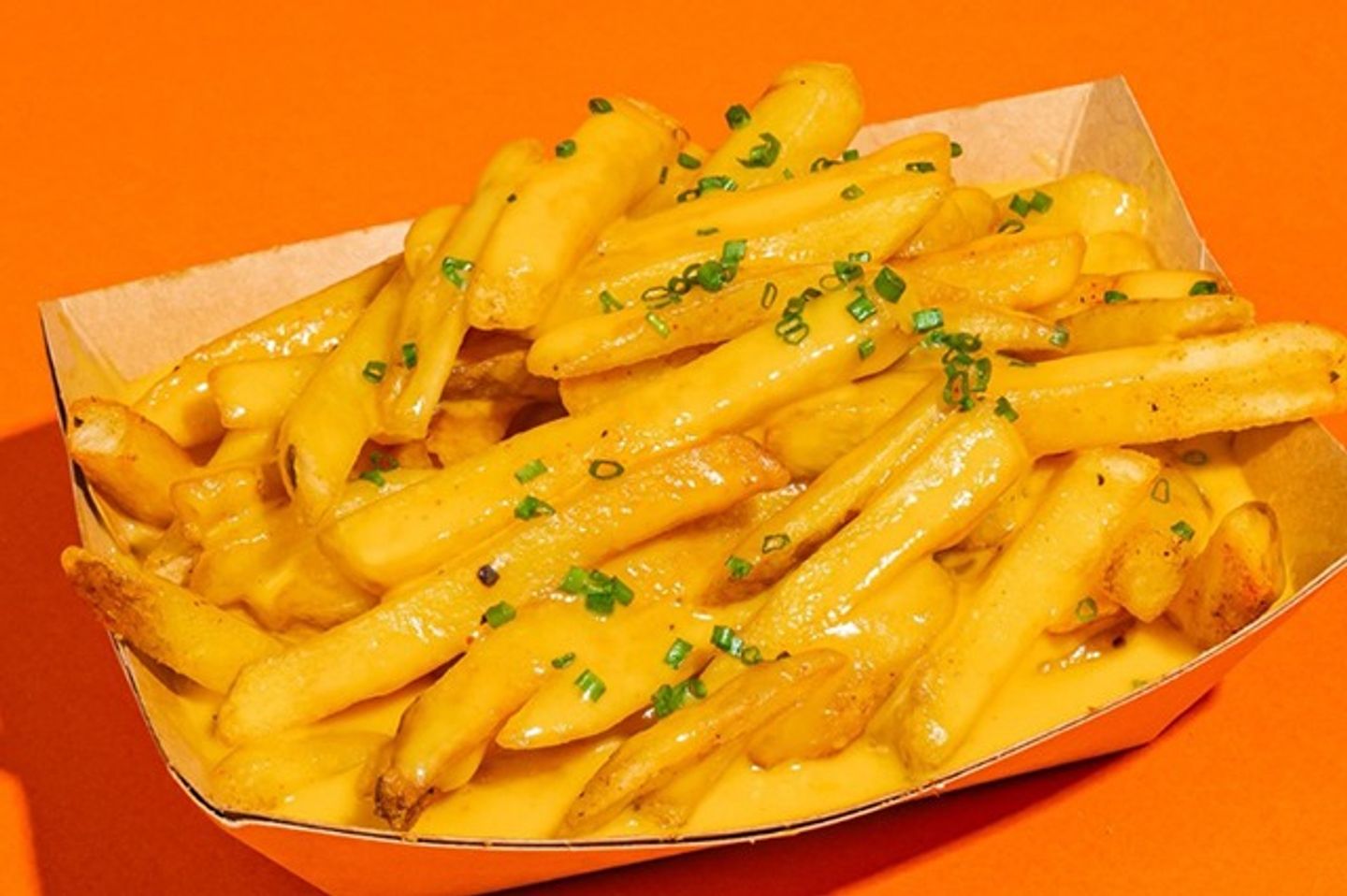 Cheesy Fries