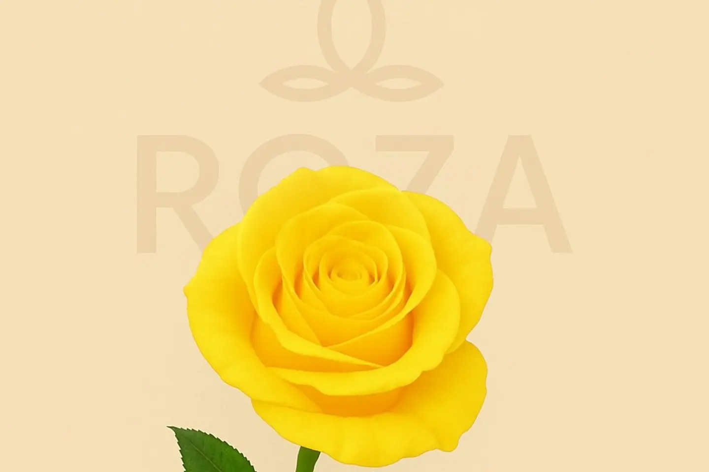 Yellow Rose