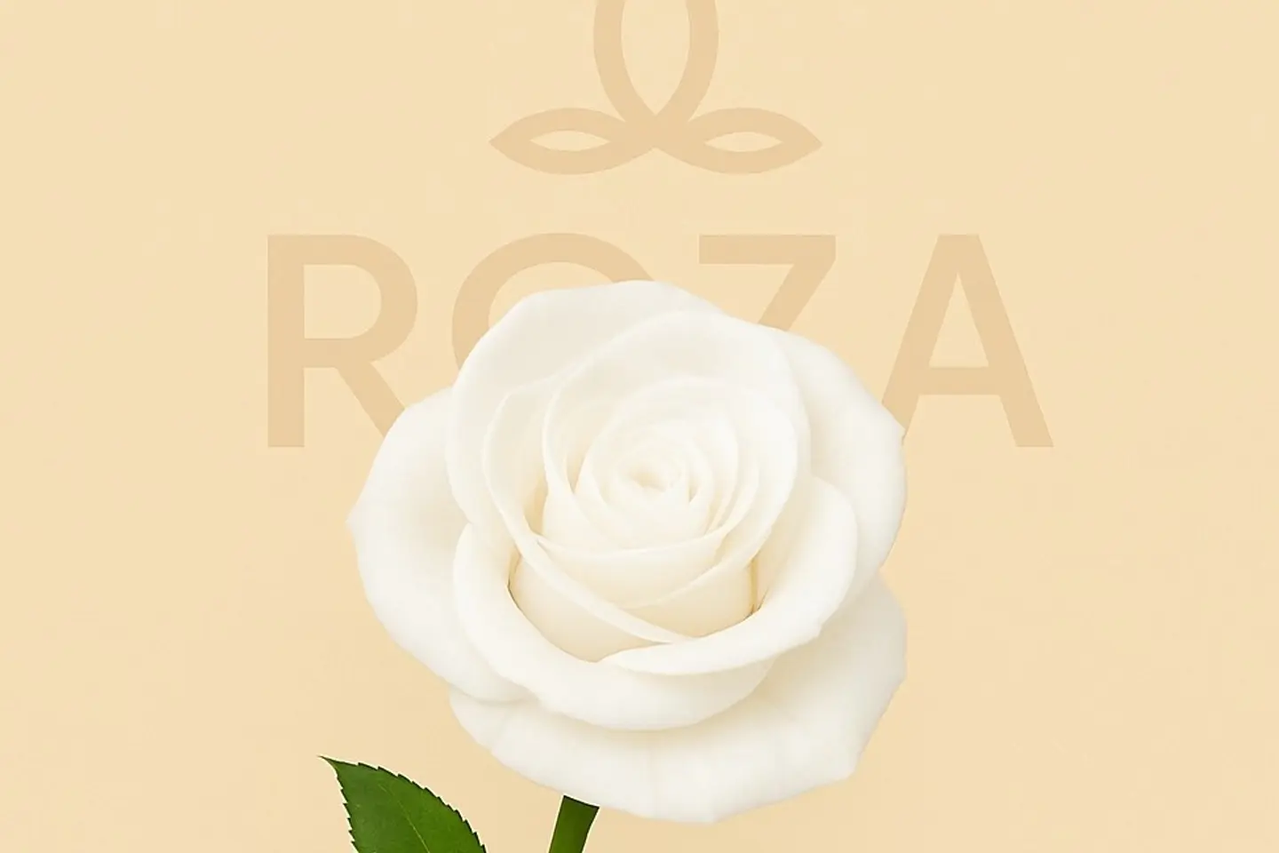 White Rose