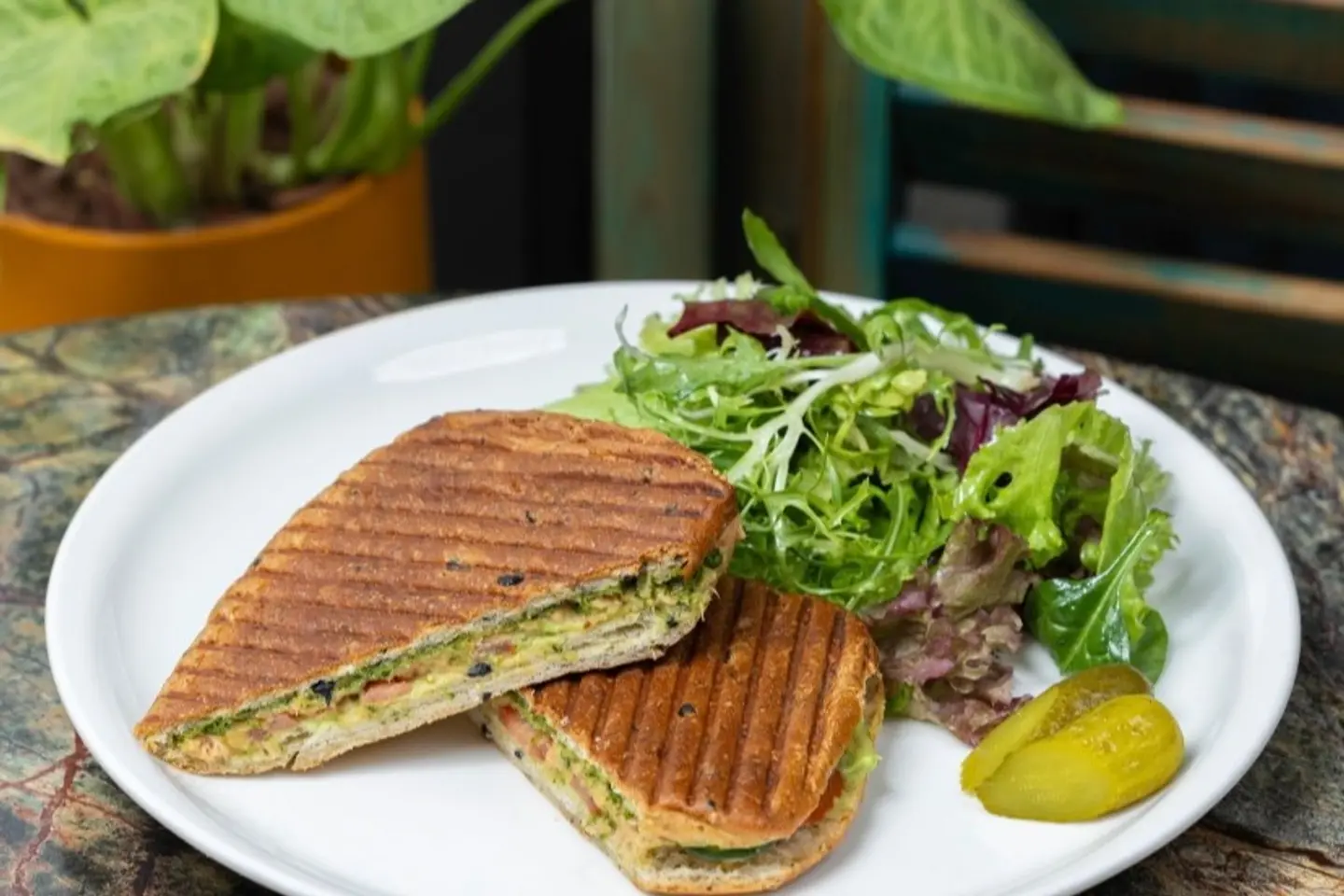 Tuna Sandwich