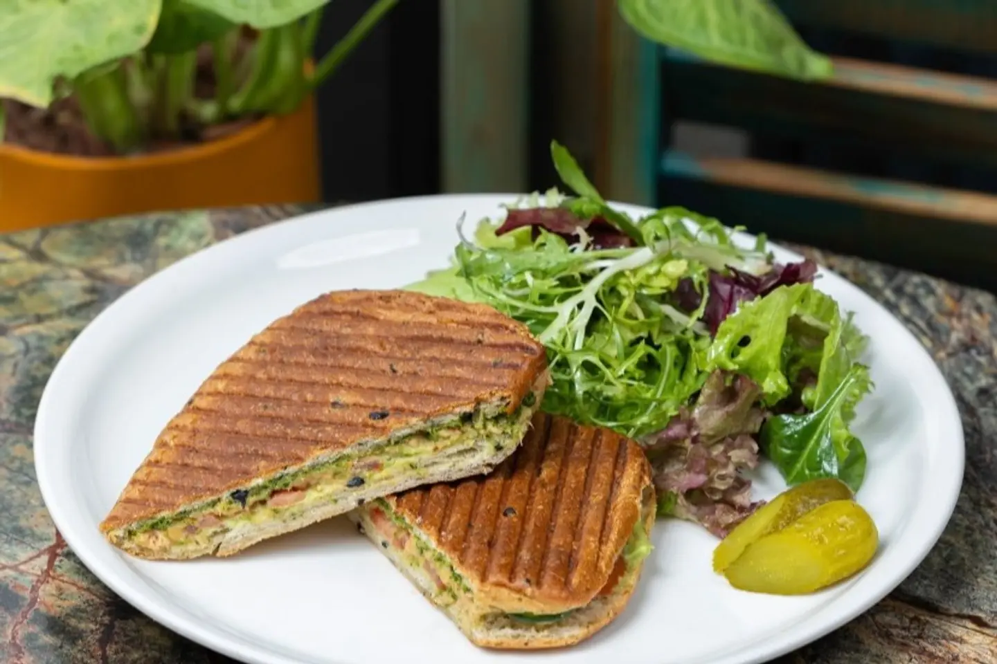 Tuna Sandwich