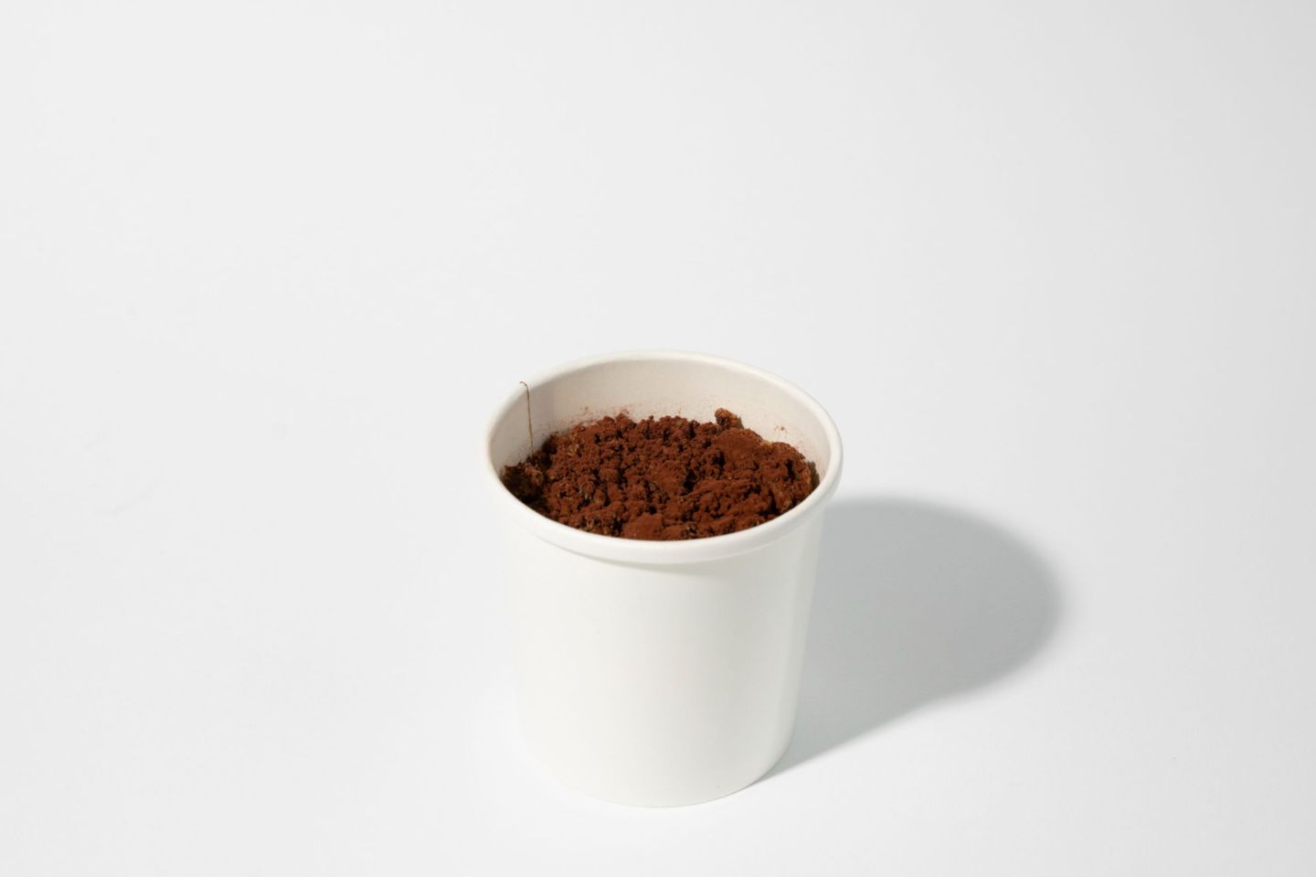 Cookies Pudding