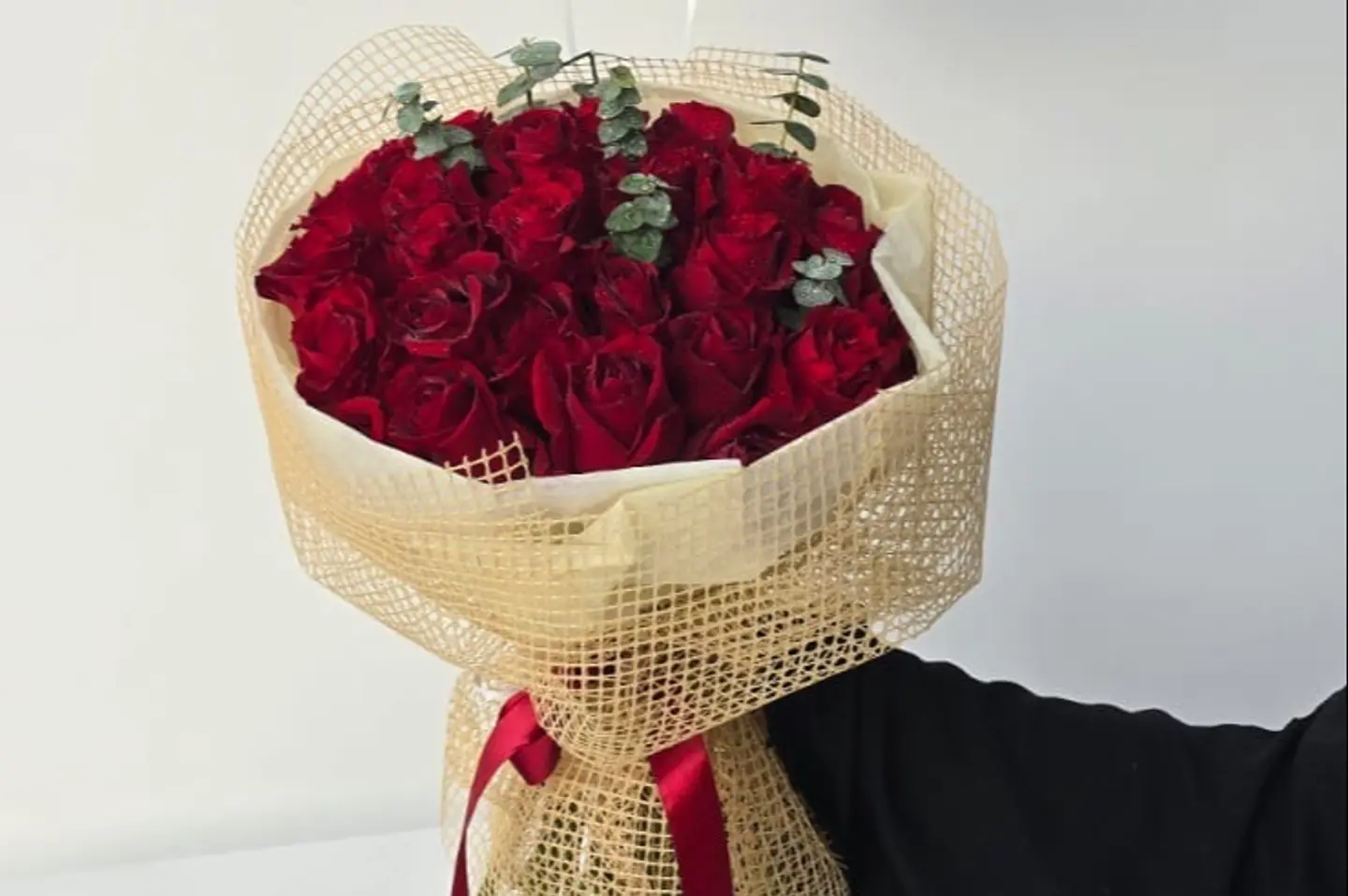 Red Roses Beige Cover