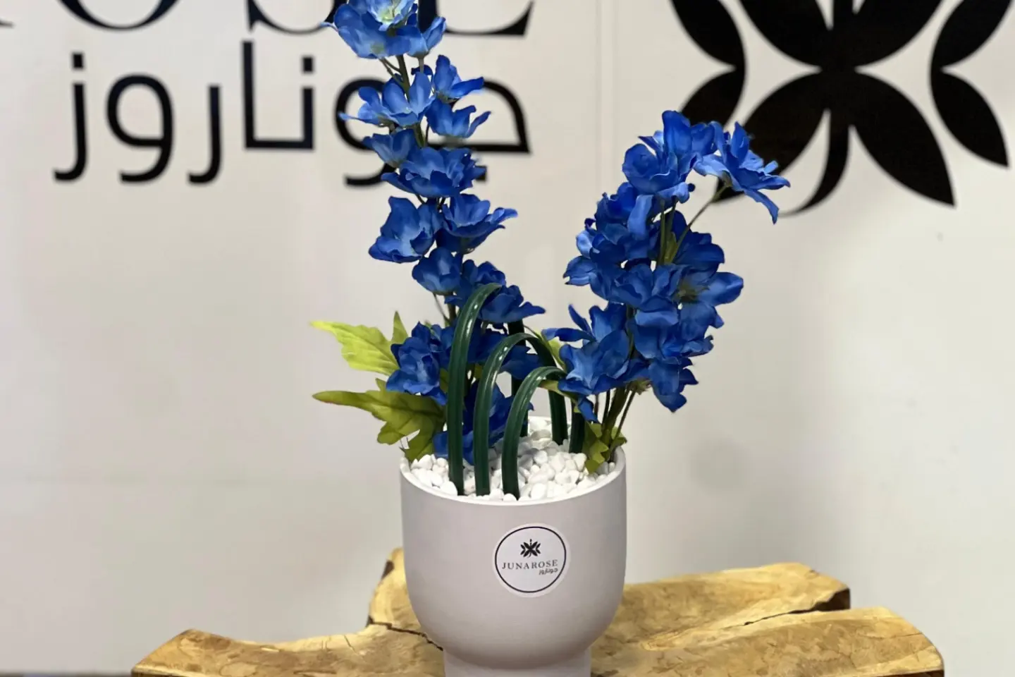 فازات جوناروز ٢