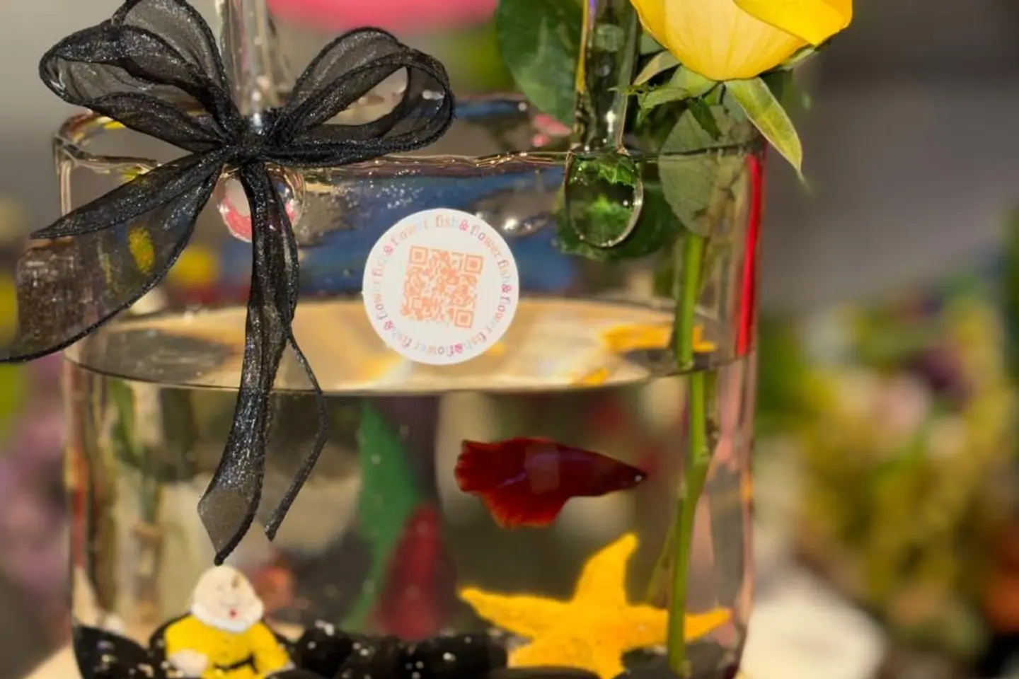 حقيبة سمكة الروز مع القزم ونجم البحر