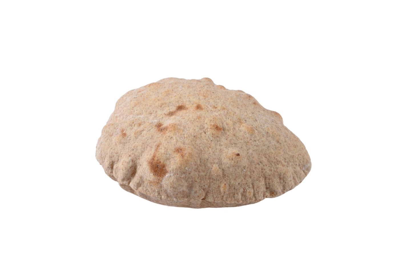 Whole Wheat Bread