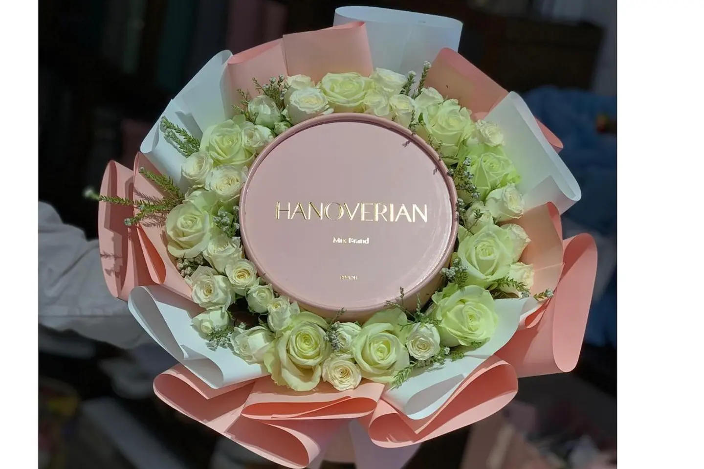 بكج هانوفريان بوكية