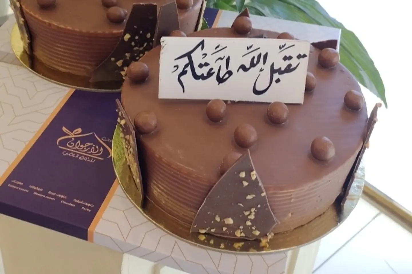 كيك نوتشا