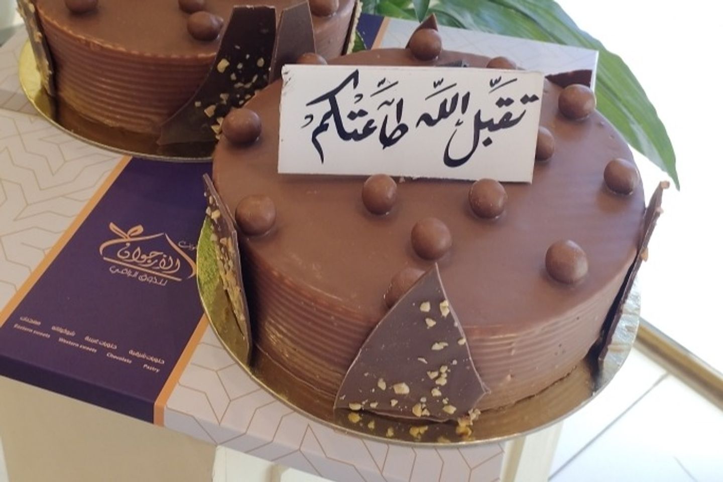 كيك نوتشا