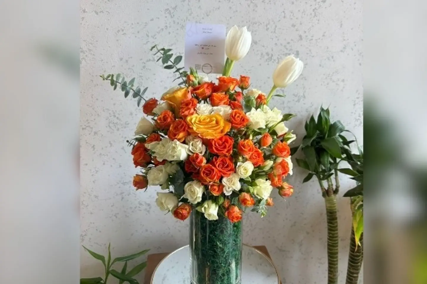 فازة جود ٢٥