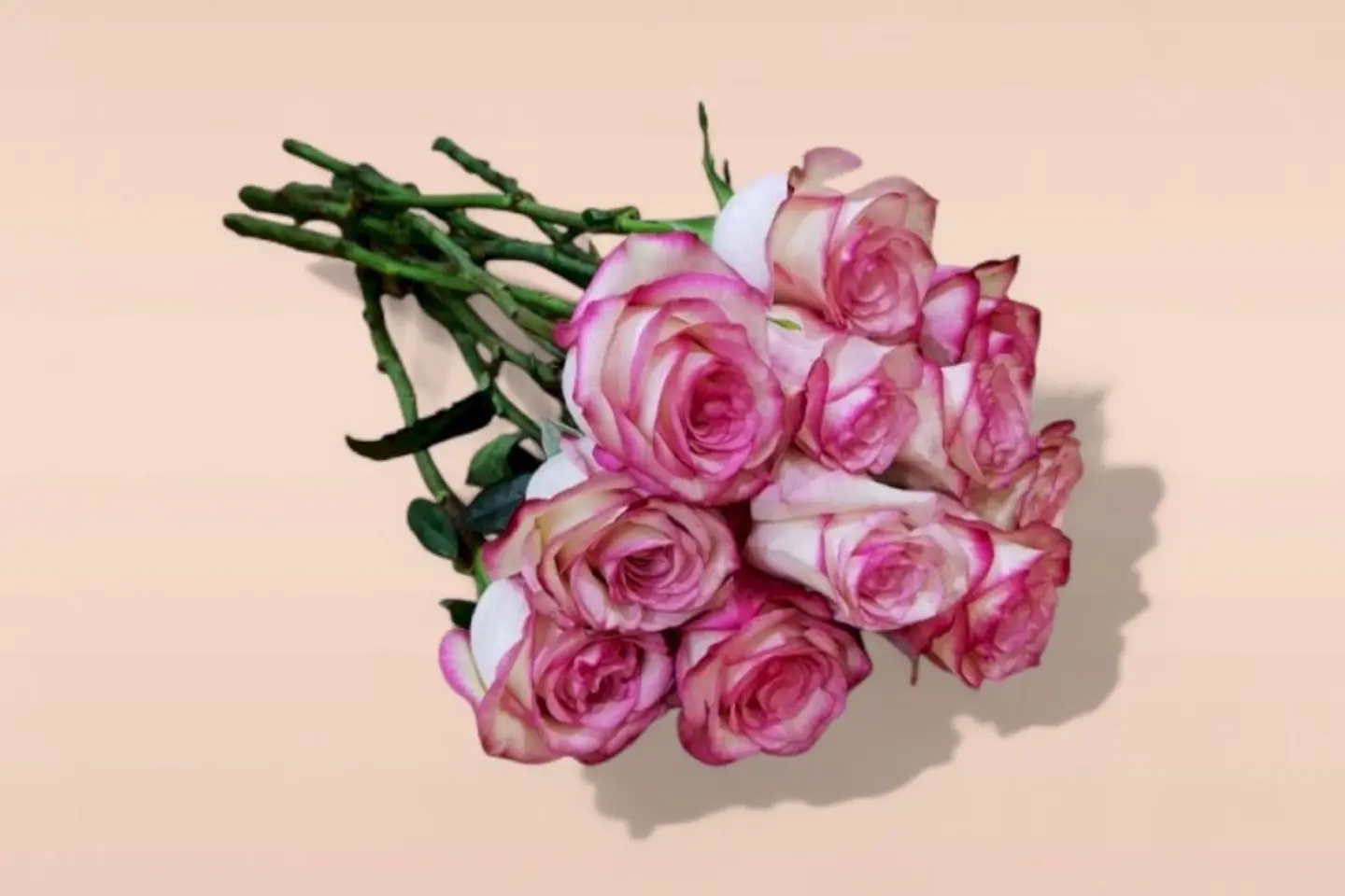 Natural Pink Roses Without Coordination