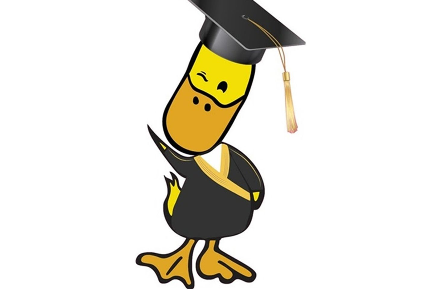 Graduation Offer