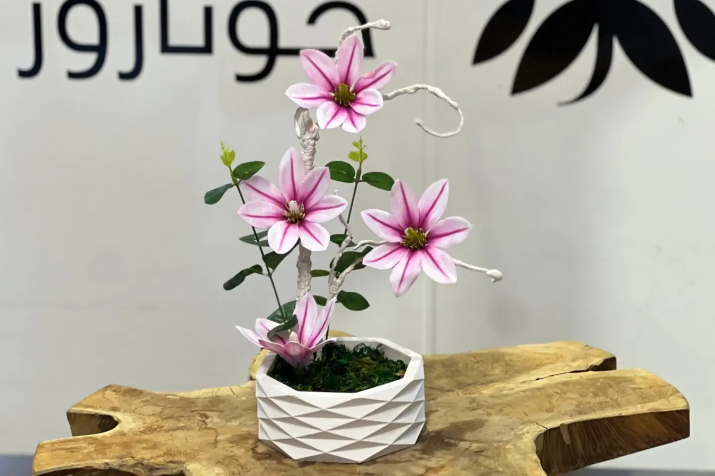 فازات جوناروز ٣