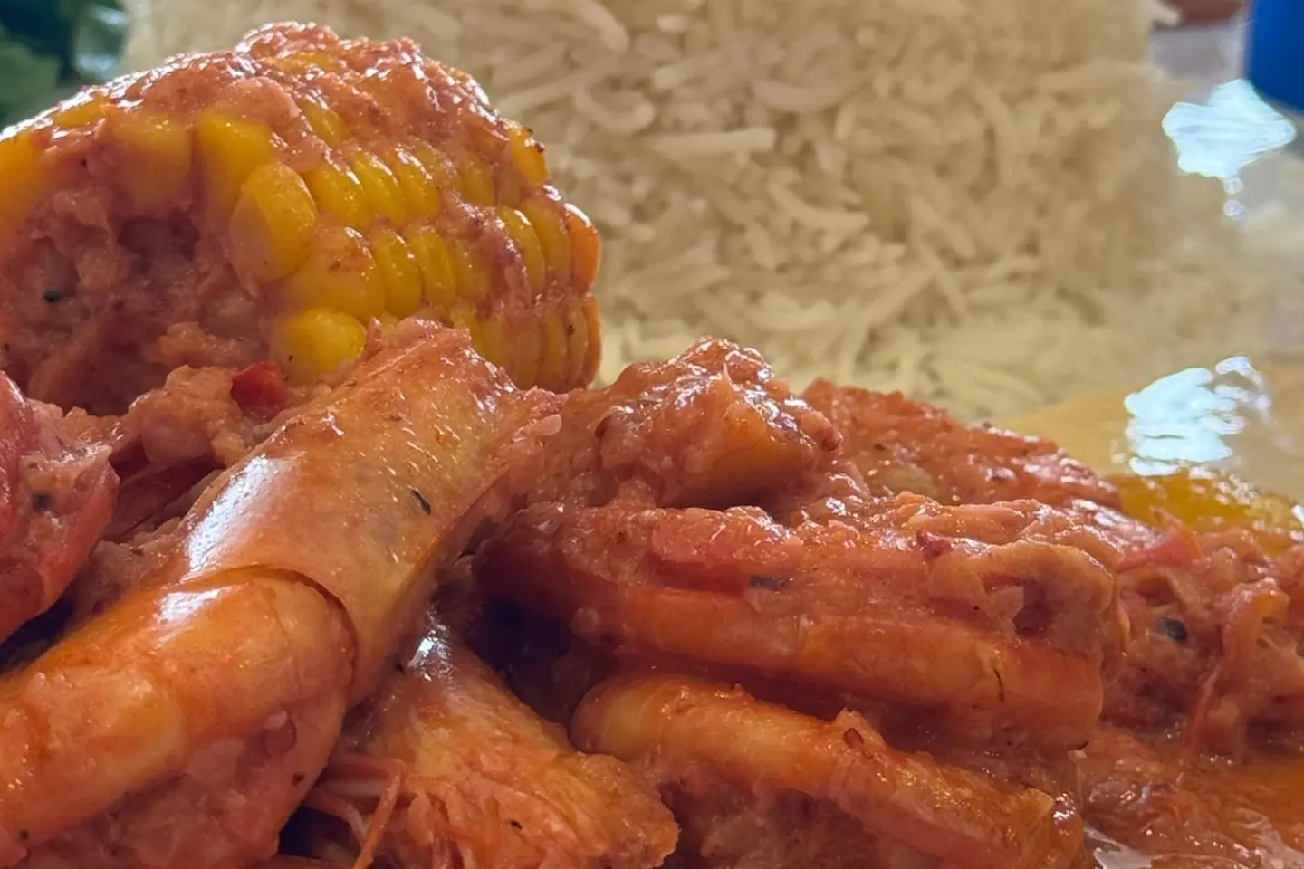 Shrimp