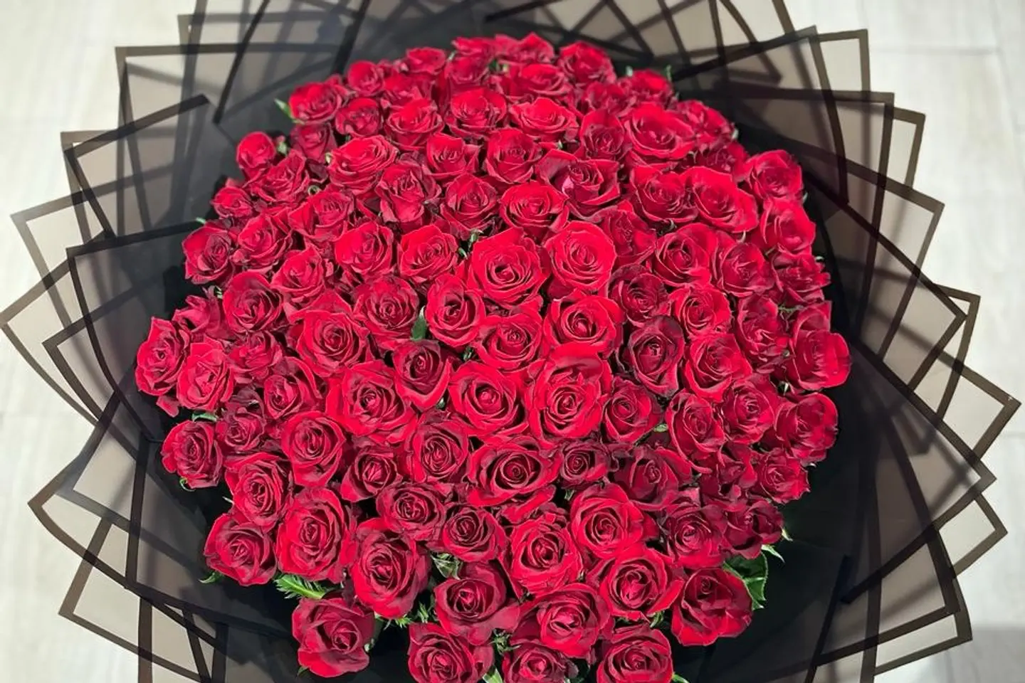 جوري احمر
