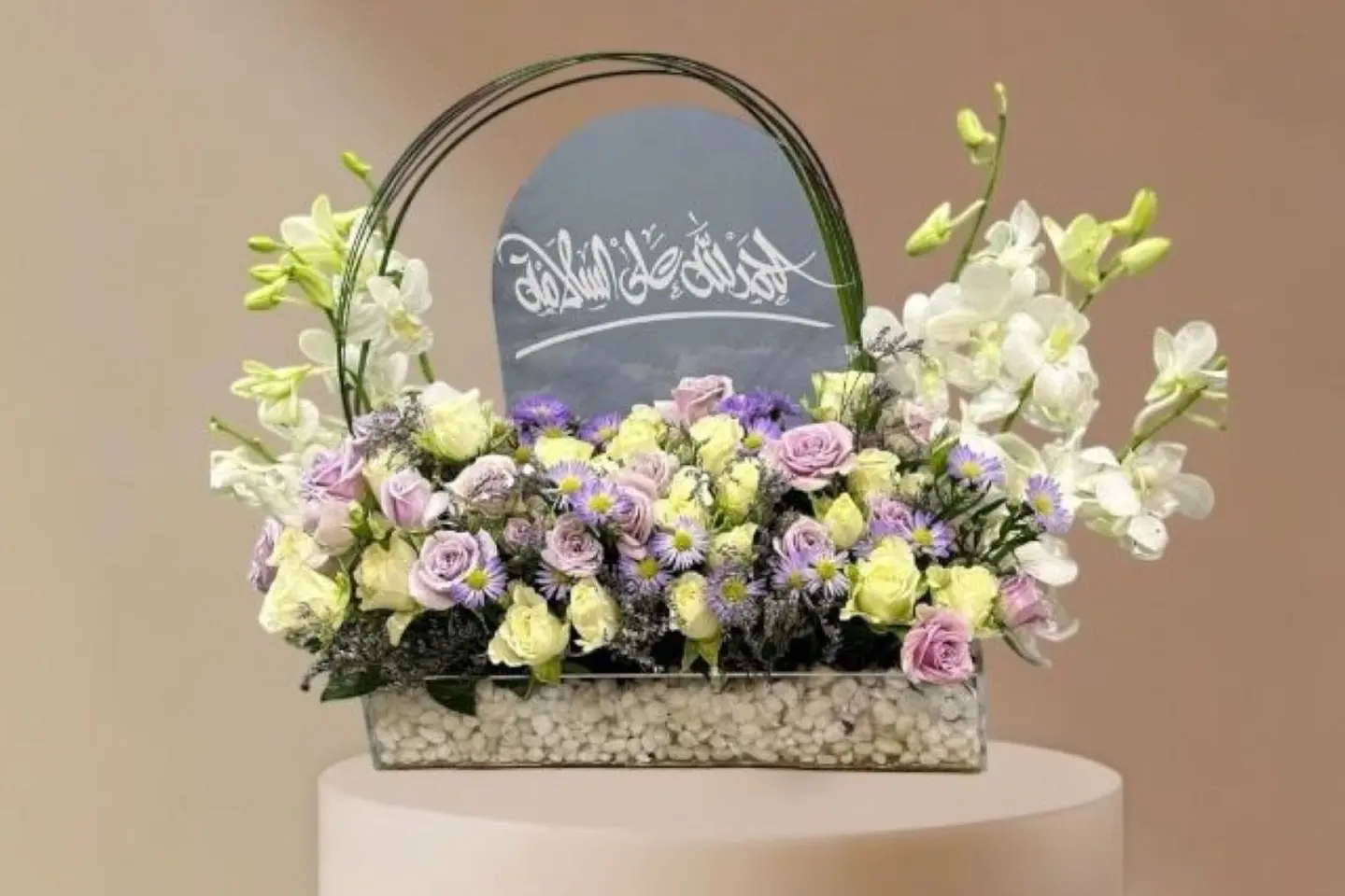 استناد الحمد لله على السلامة الانيق