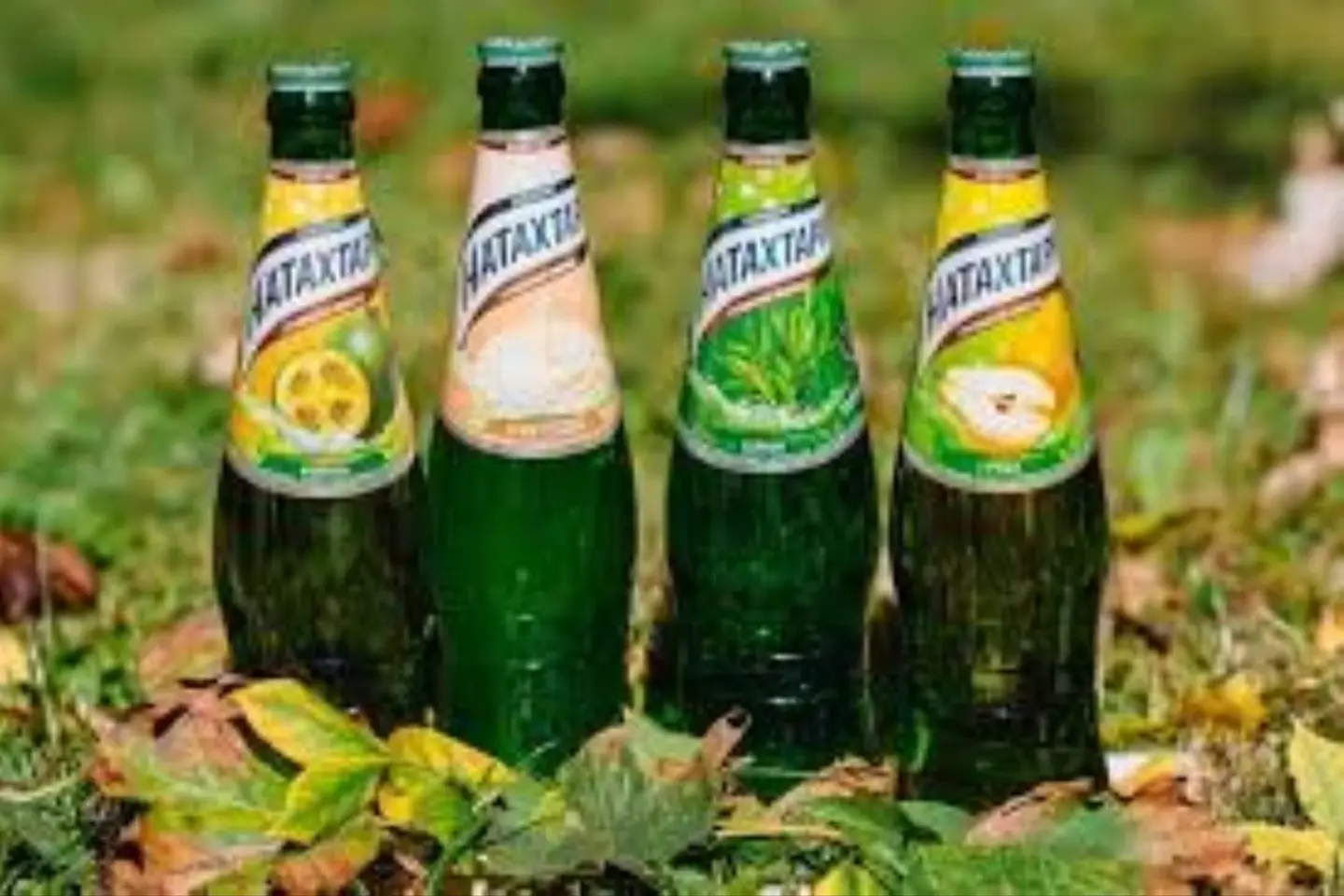 نتختاري عنب