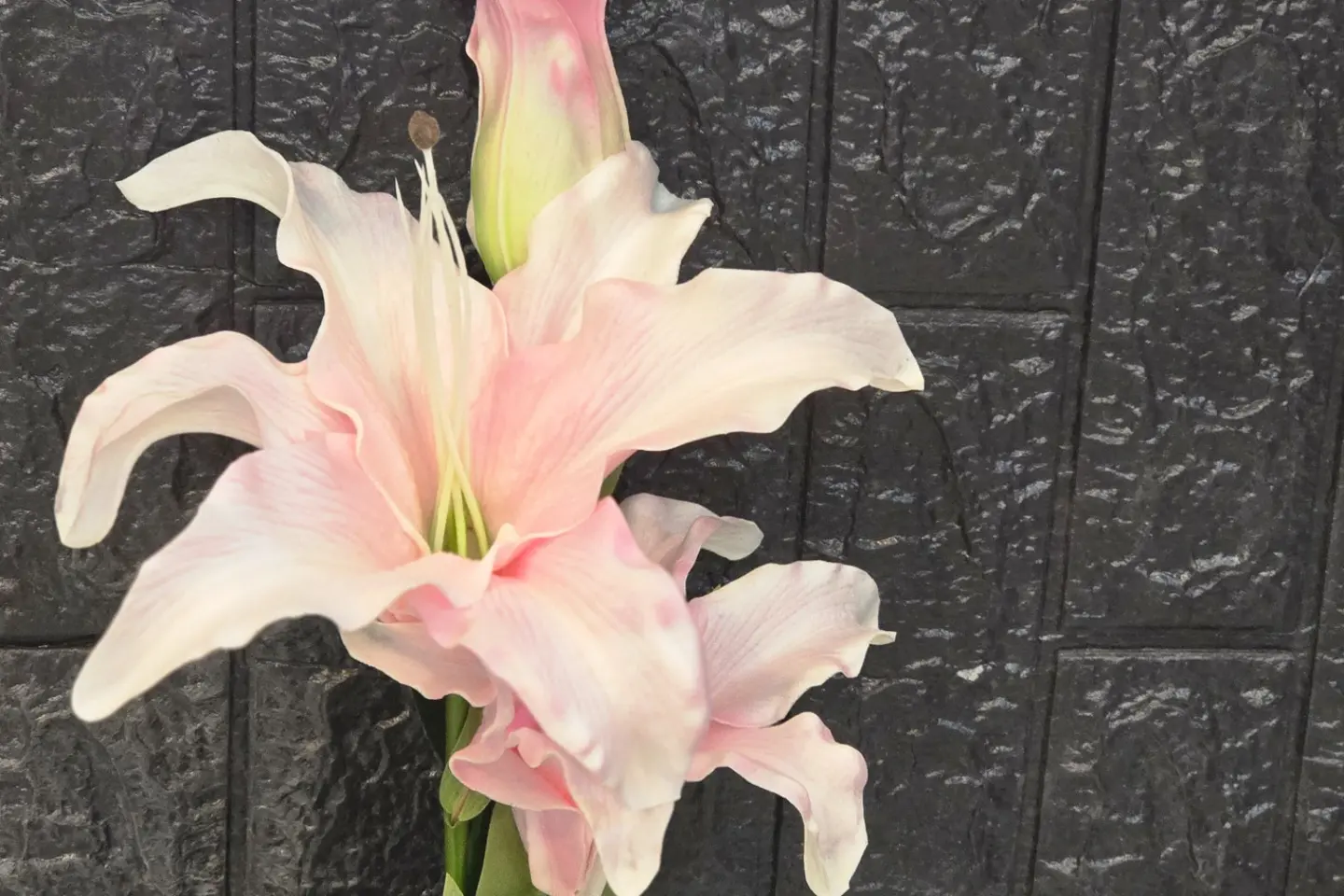 Kasaplanca Is A Natural Touch 11