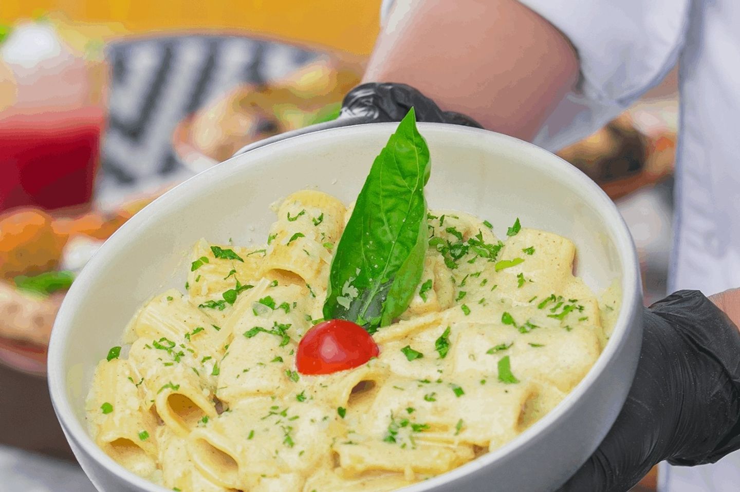 ريجاتوني ترافيل