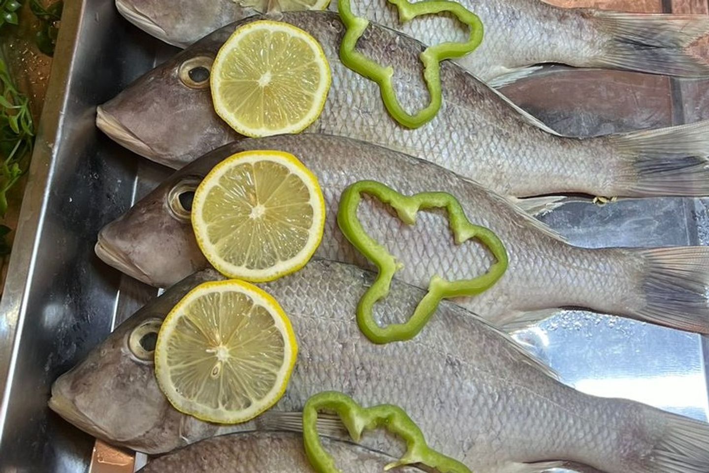 شعري مقلي