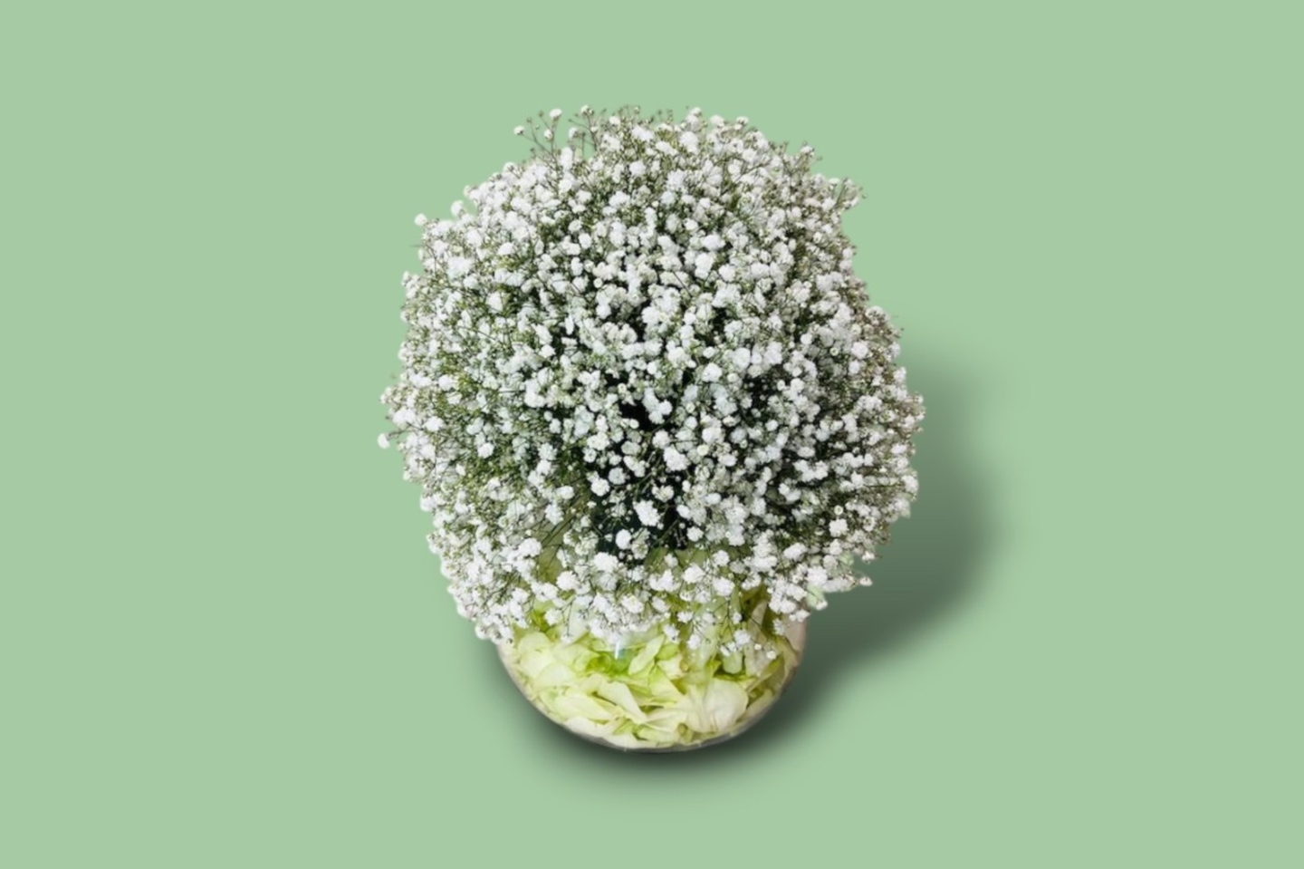 Soft White Baby’s Breath Vase 10