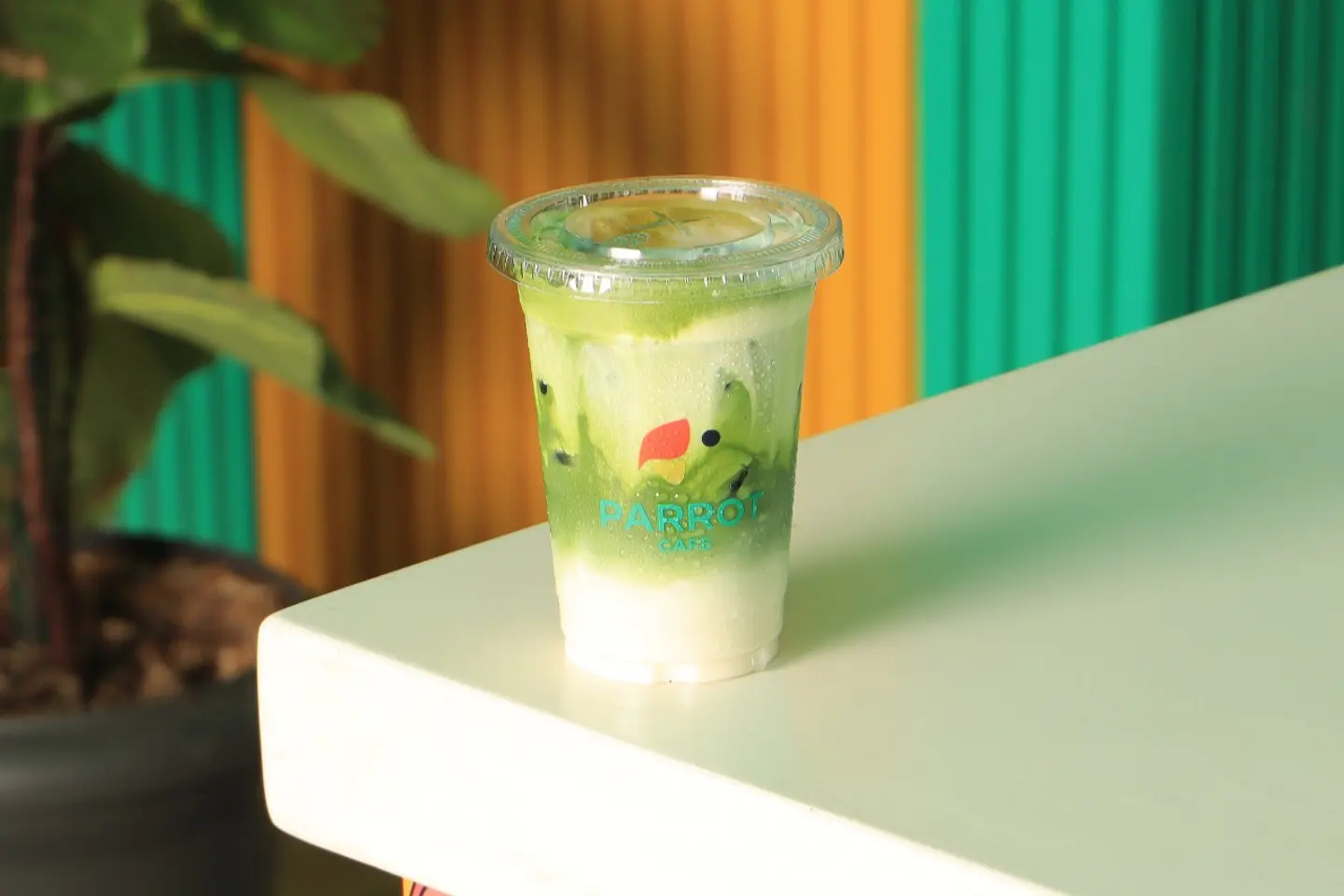 Ice Matcha Latte