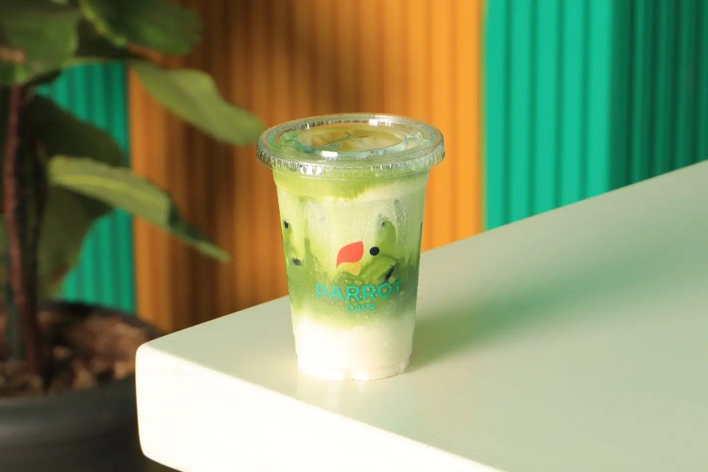 Ice Mastic Matcha
