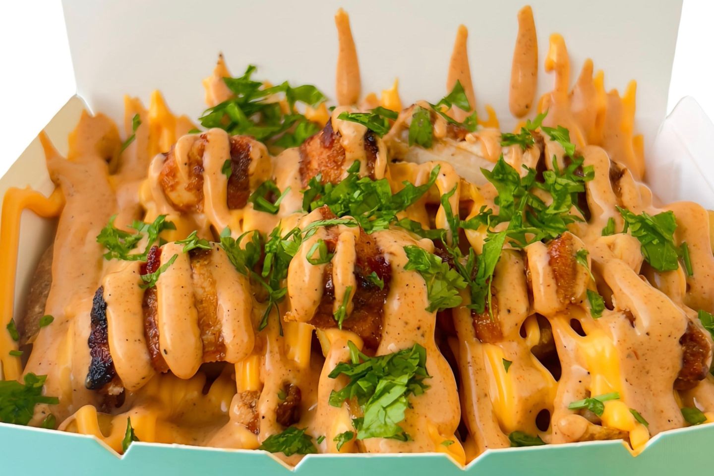 Special Chicken Fries