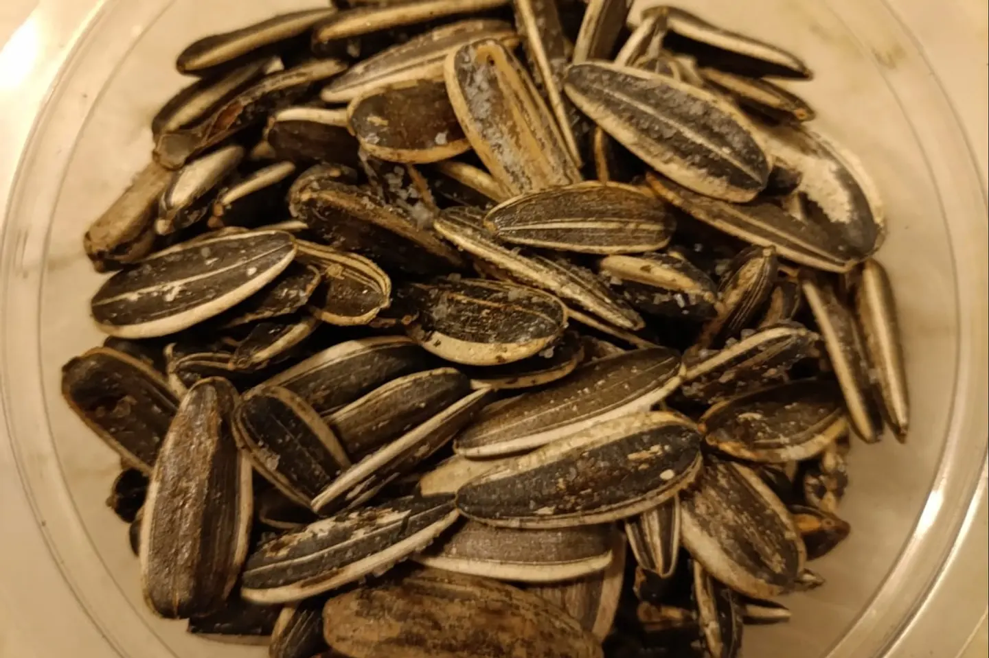 حب دوار الشمس
