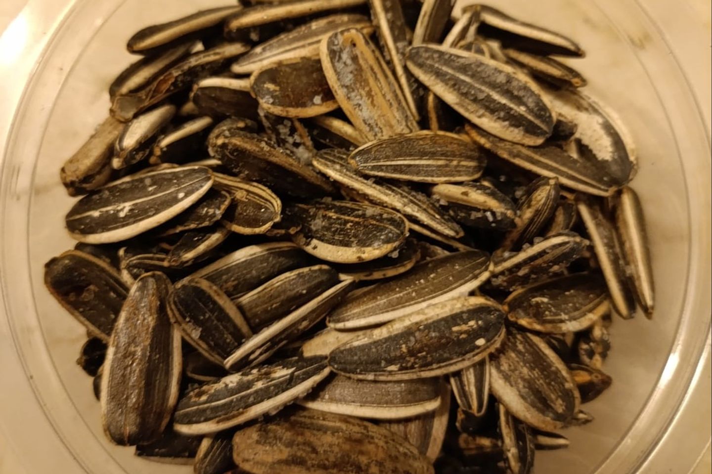 حب دوار الشمس