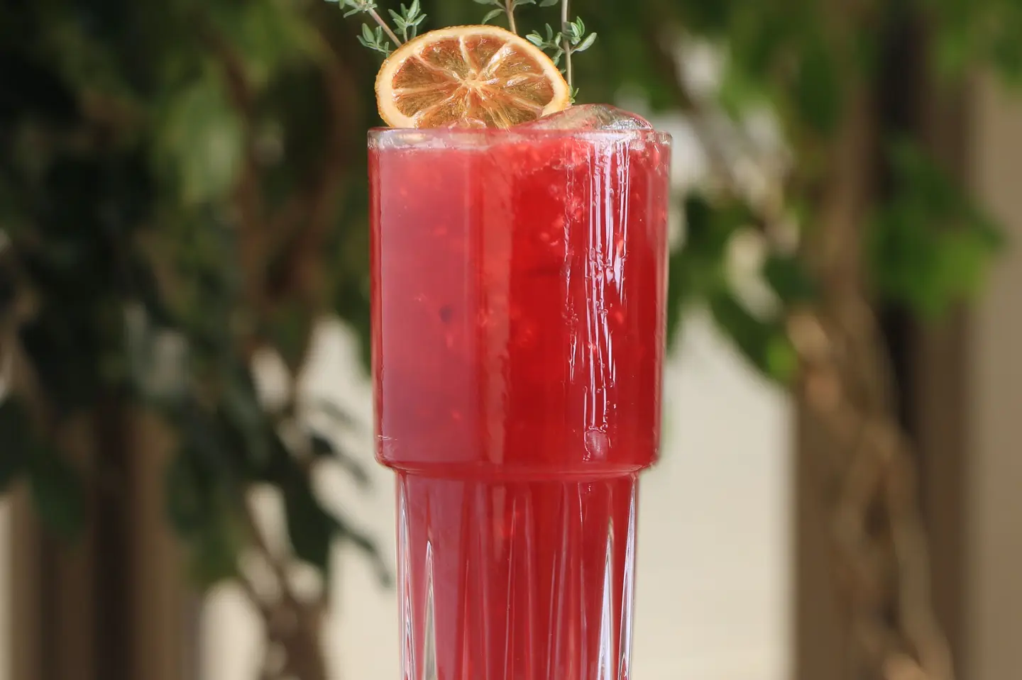 Raspberry Mojito