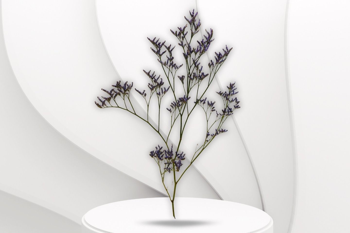 Lamenium