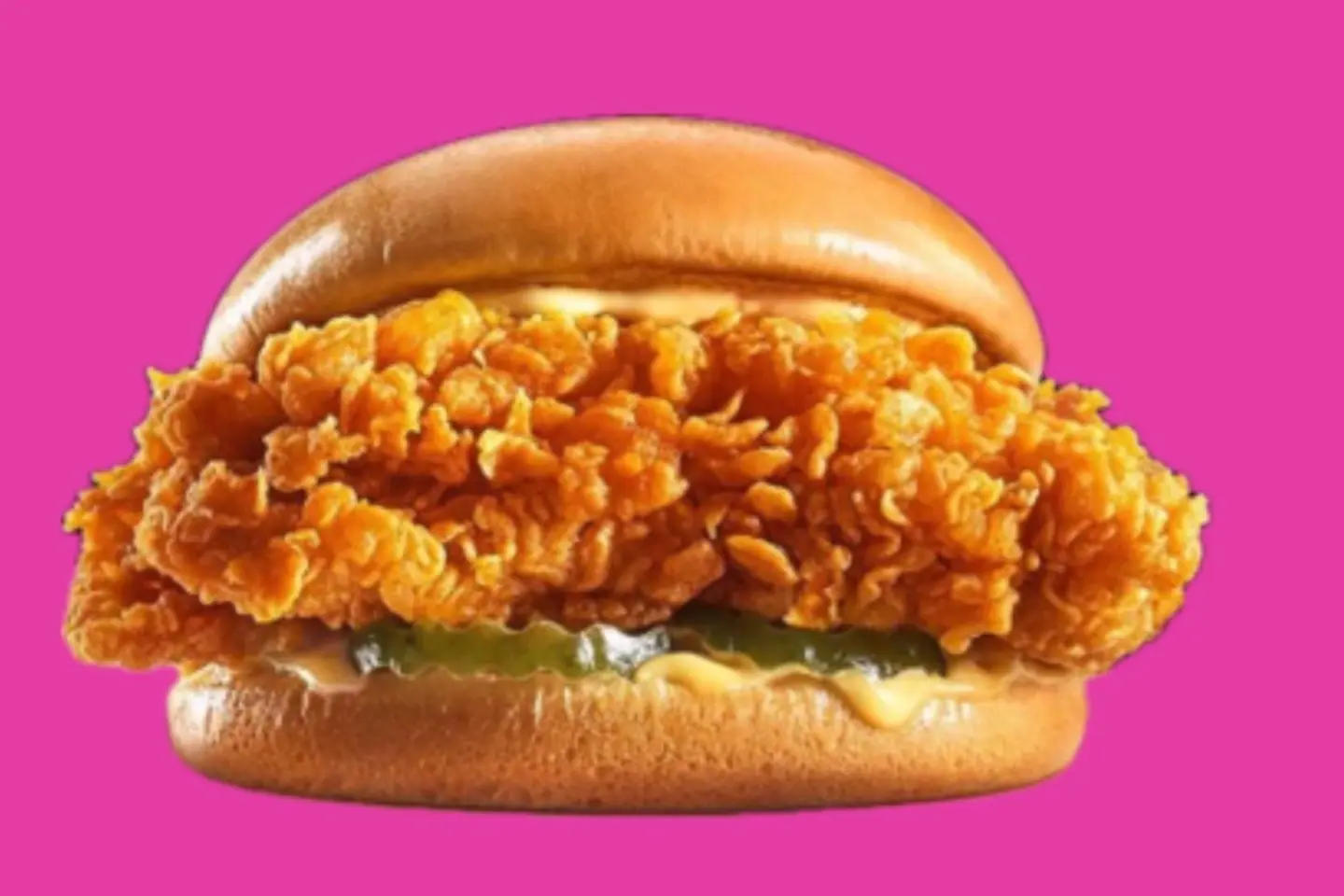 Crispy Chicken Burger