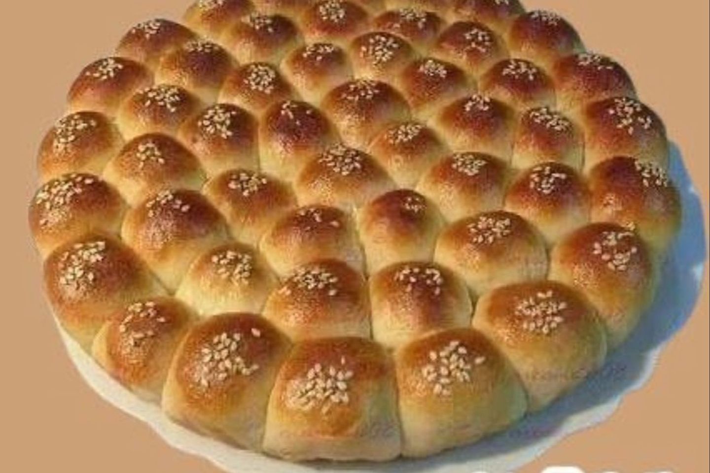 خليه نحل نستله