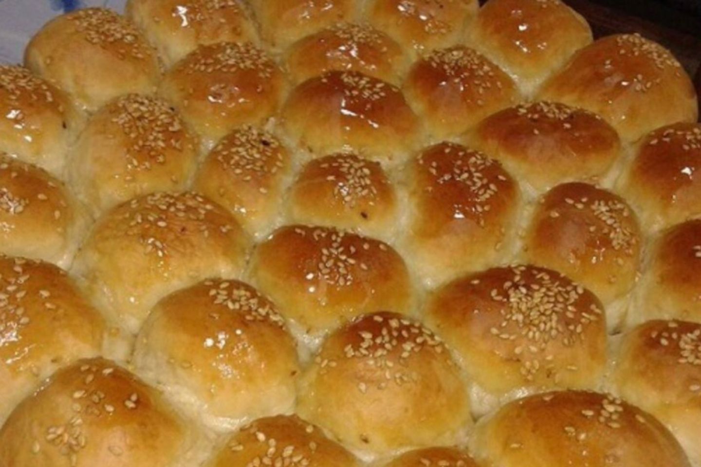 خليه  نحل عسل