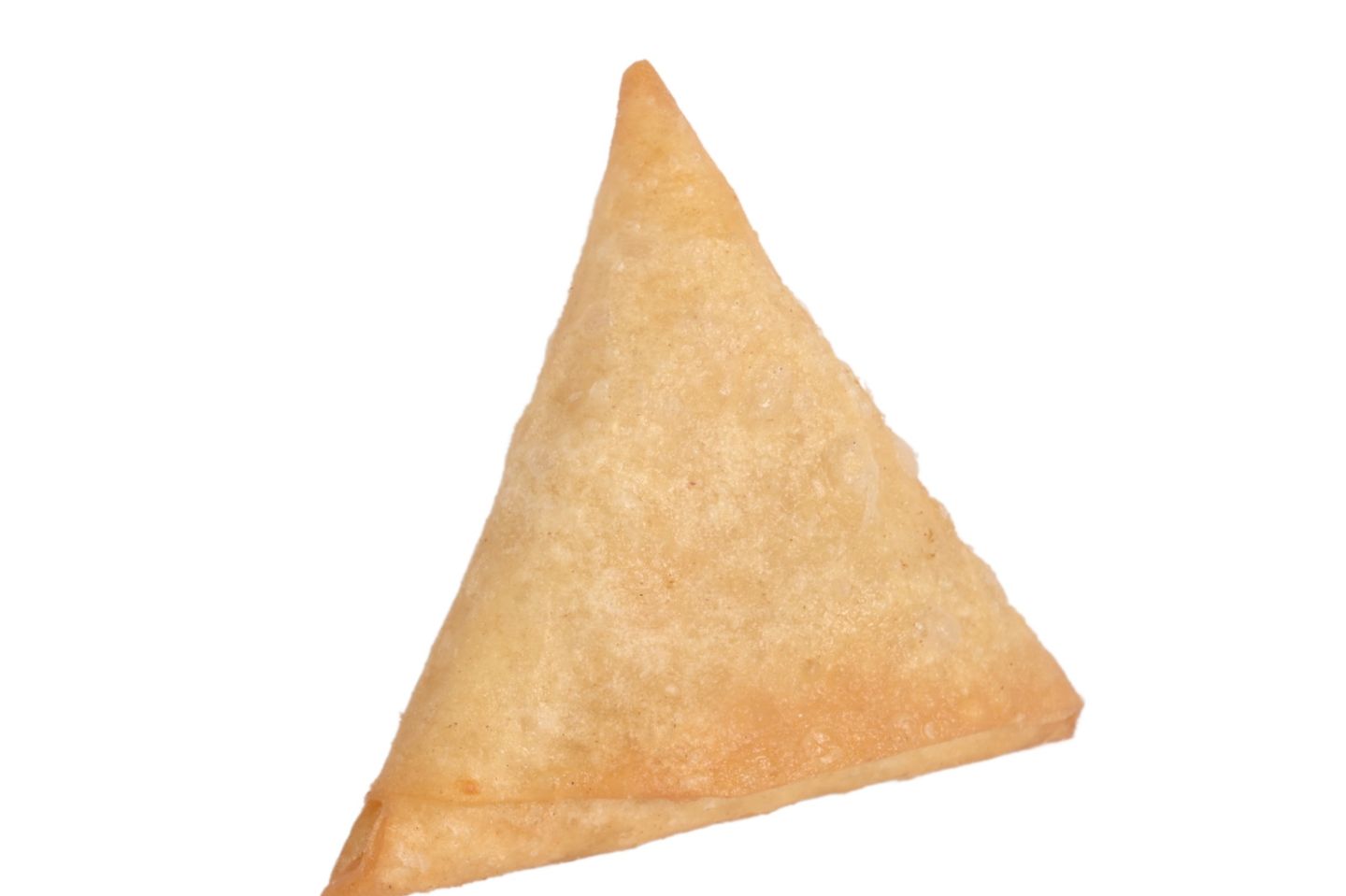 Chicken Samosa