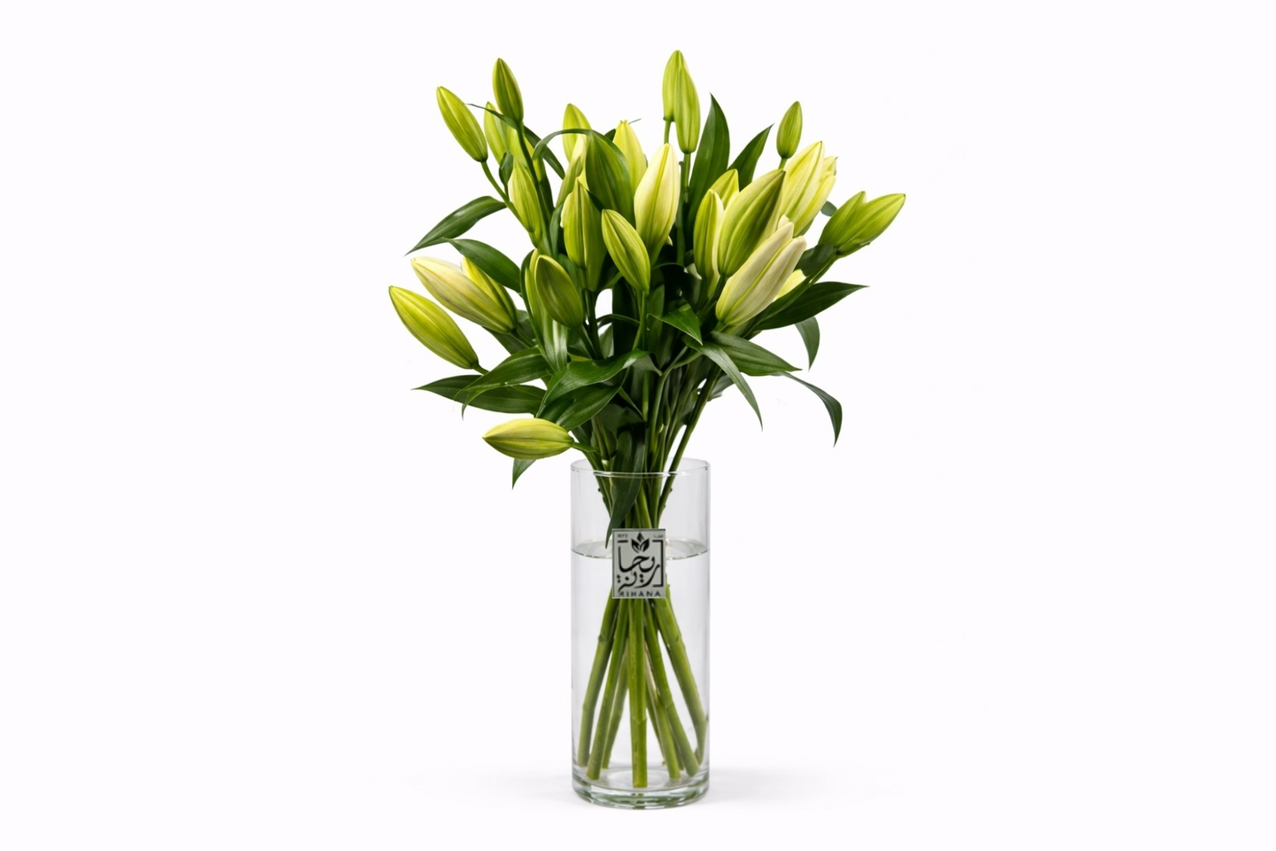 Lomi Vase