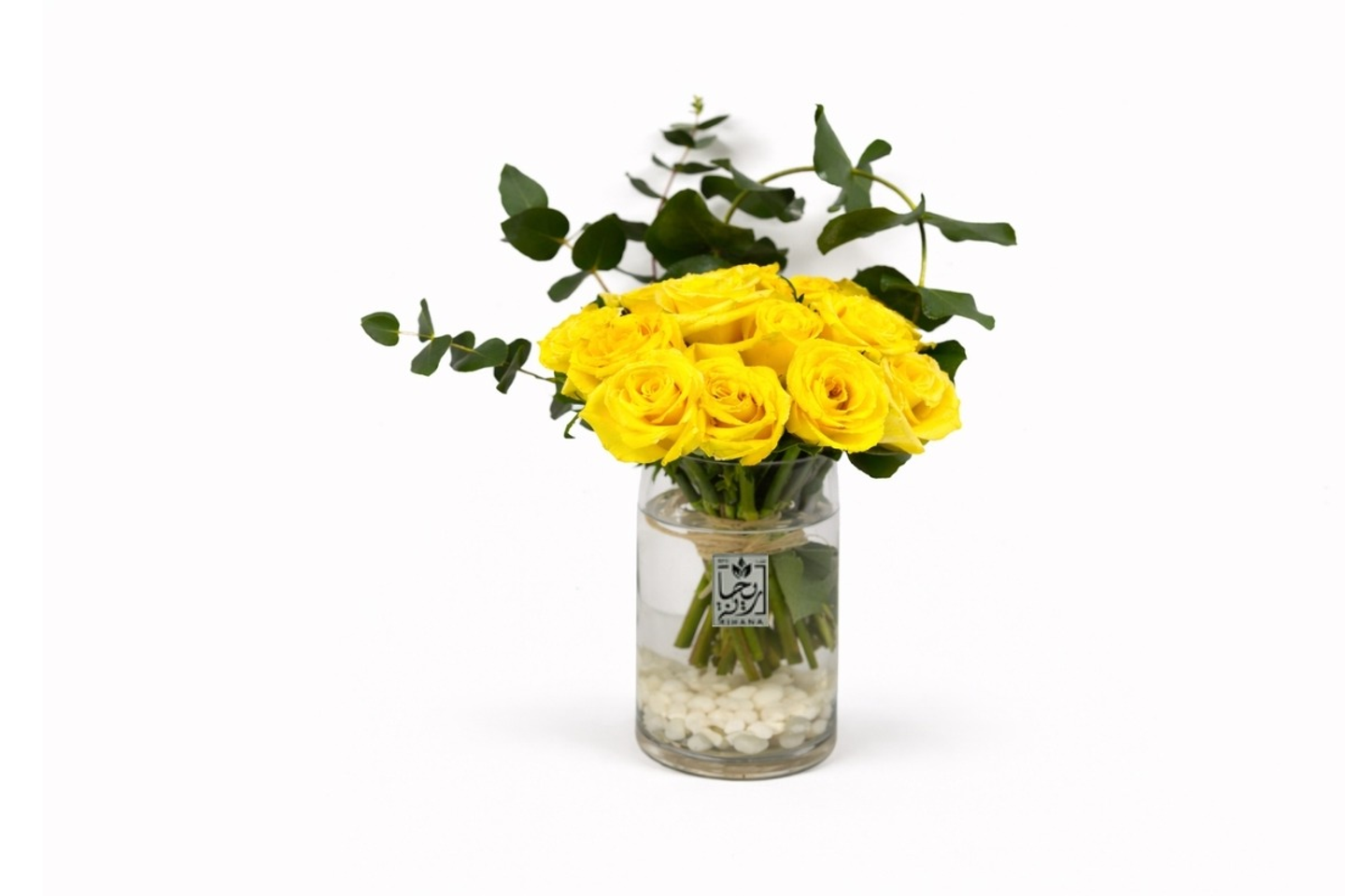 Acacia Vase