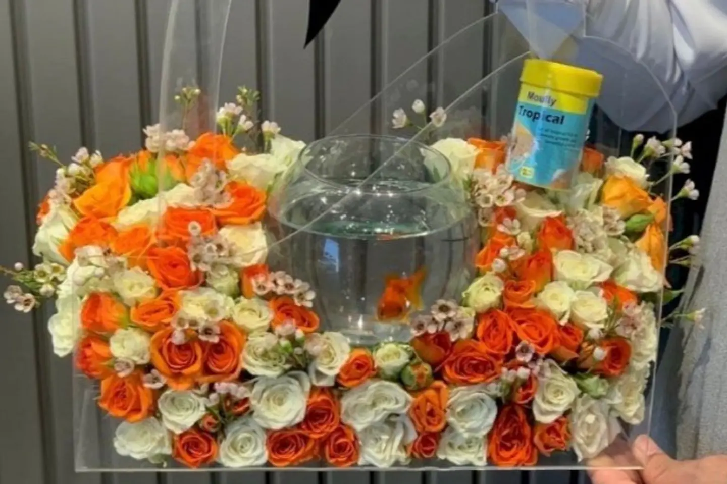Fish Basket 2
