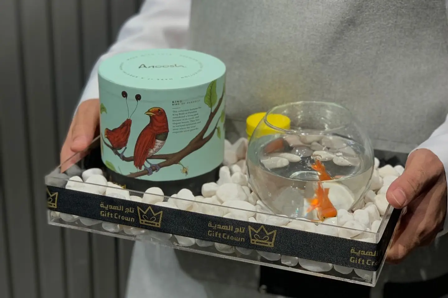 Acrylic Fish Tray
