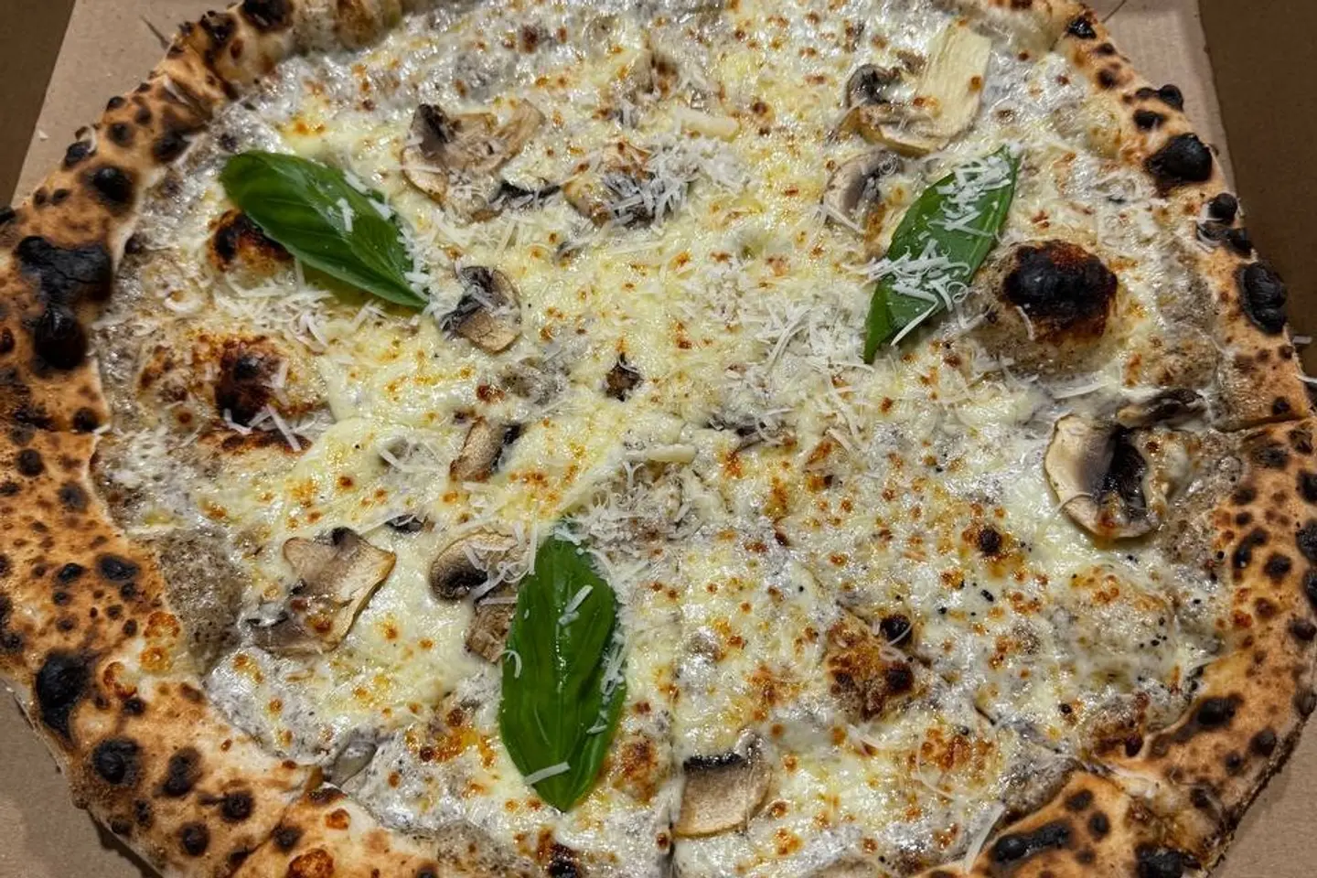 Truffle Pizza